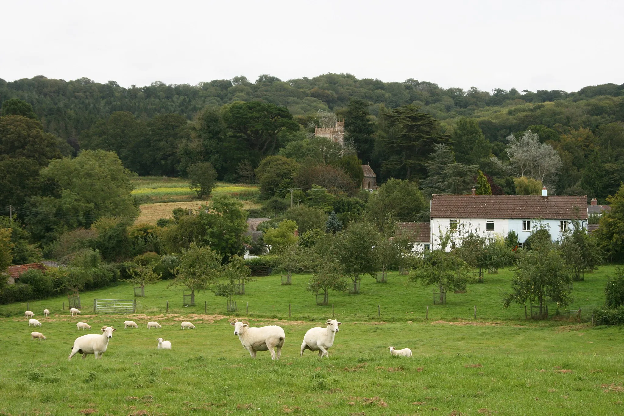 Photo showing: Chaffcombe church and village