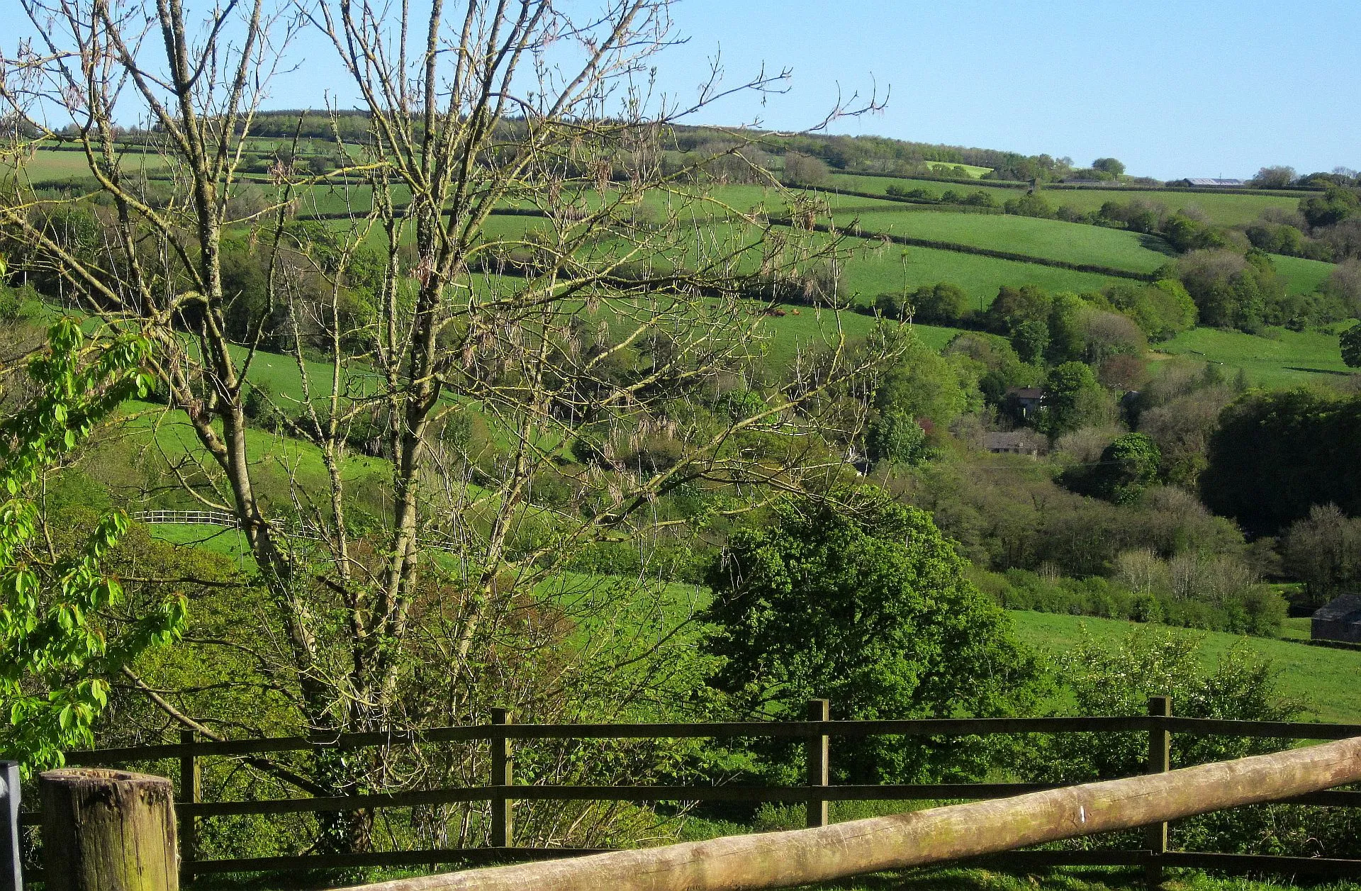 Photo showing: Lynher valley from Frogwell