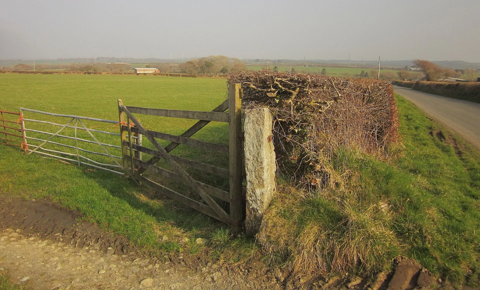 Photo showing: Field and road near Reave House