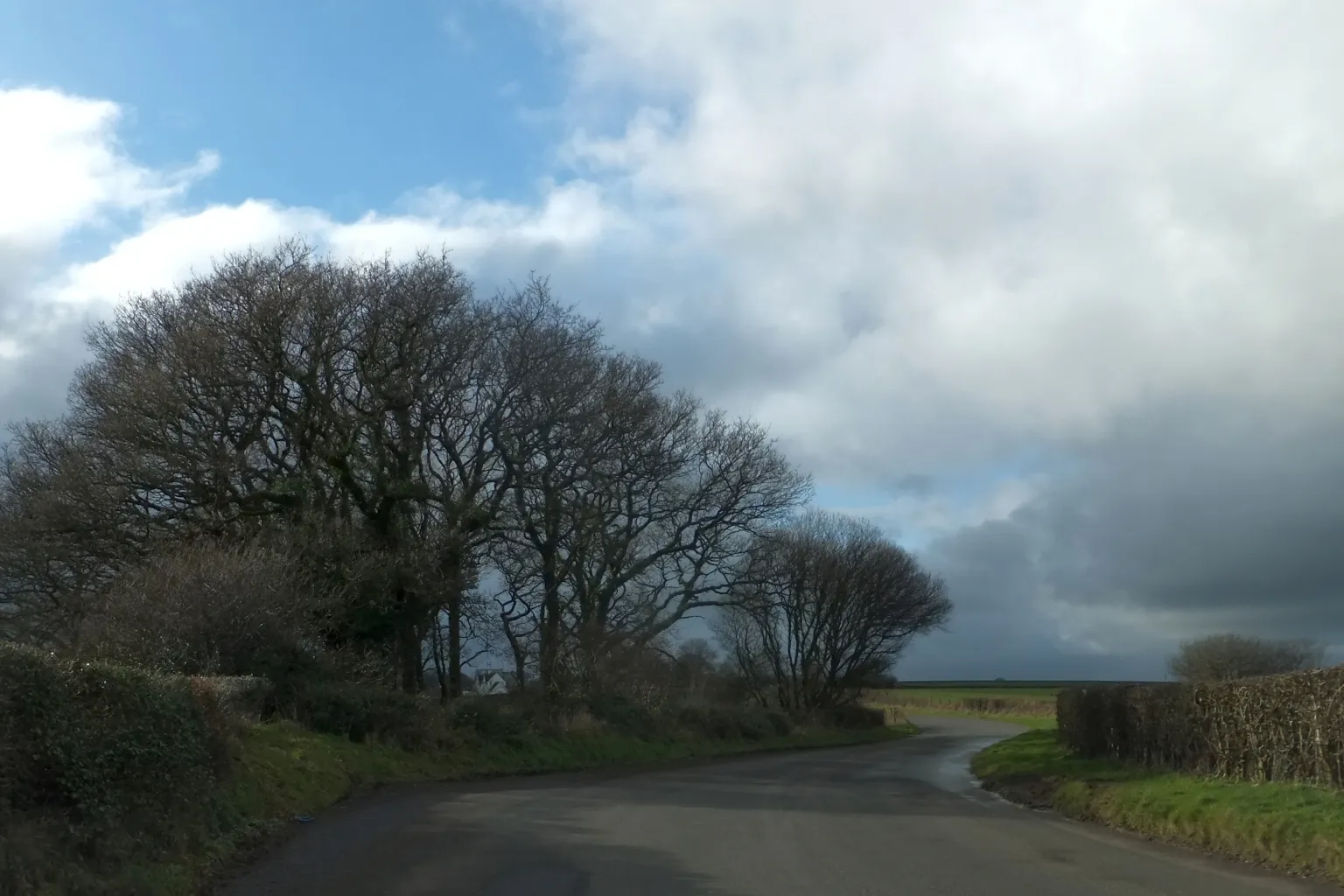 Photo showing: Small copse east of Three Hammers