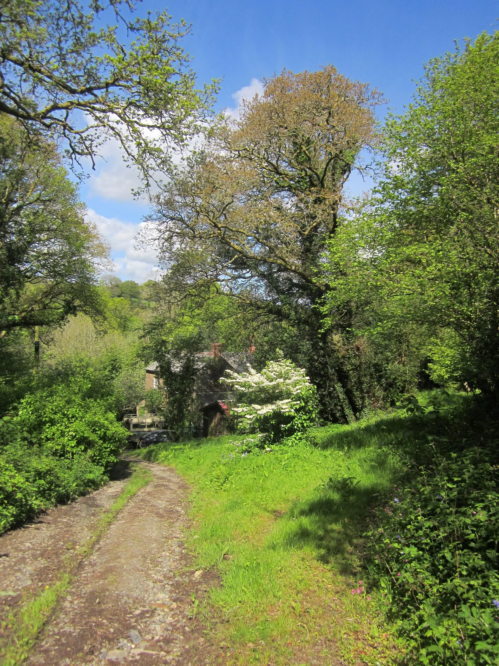 Photo showing: Approaching Newton Mill