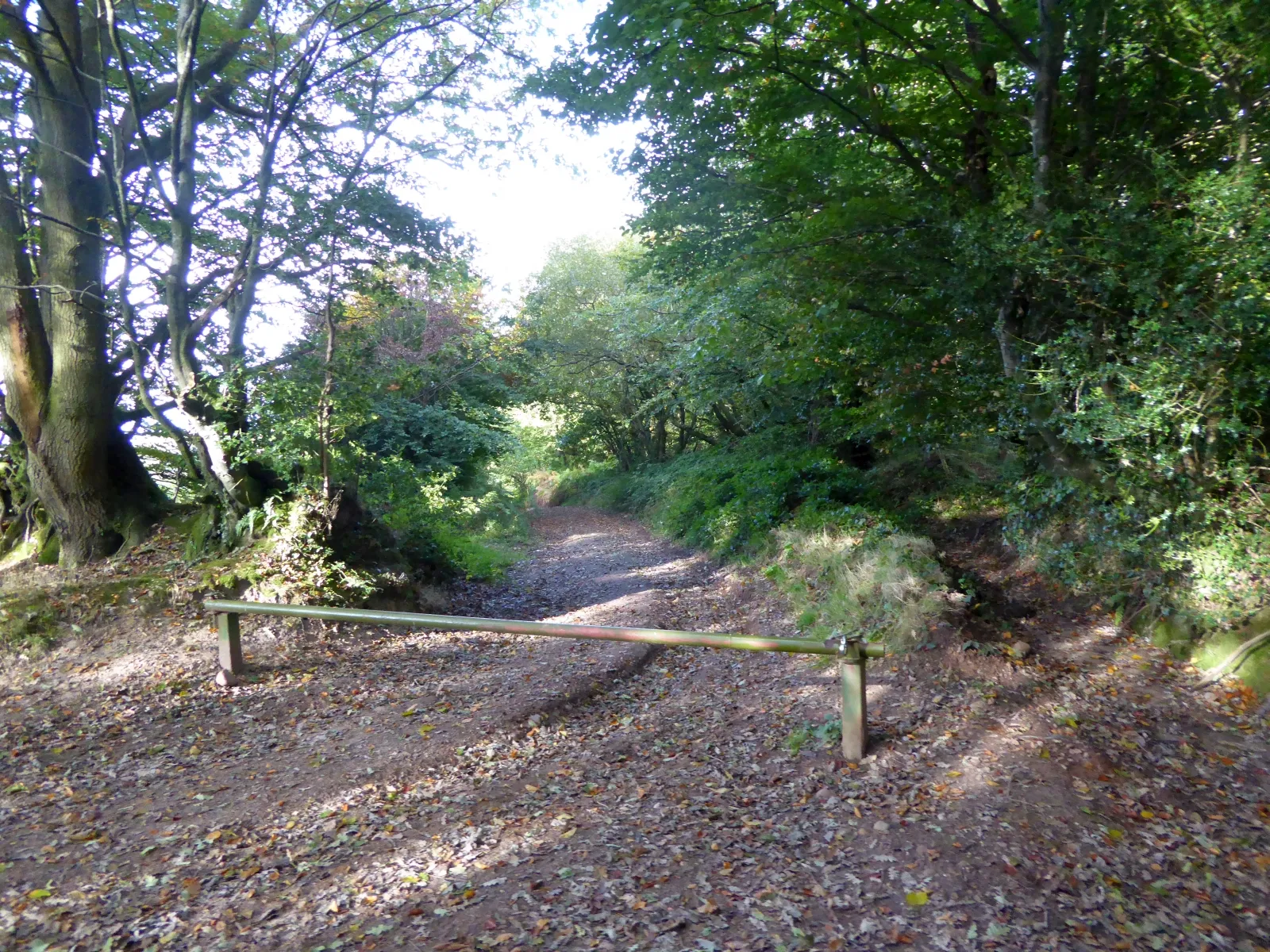 Photo showing: Barrier to track on Woodbury Common