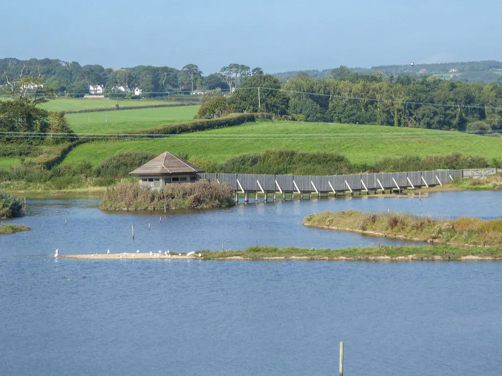 Photo showing: Black Hole Marsh Nature Reserve, Devon