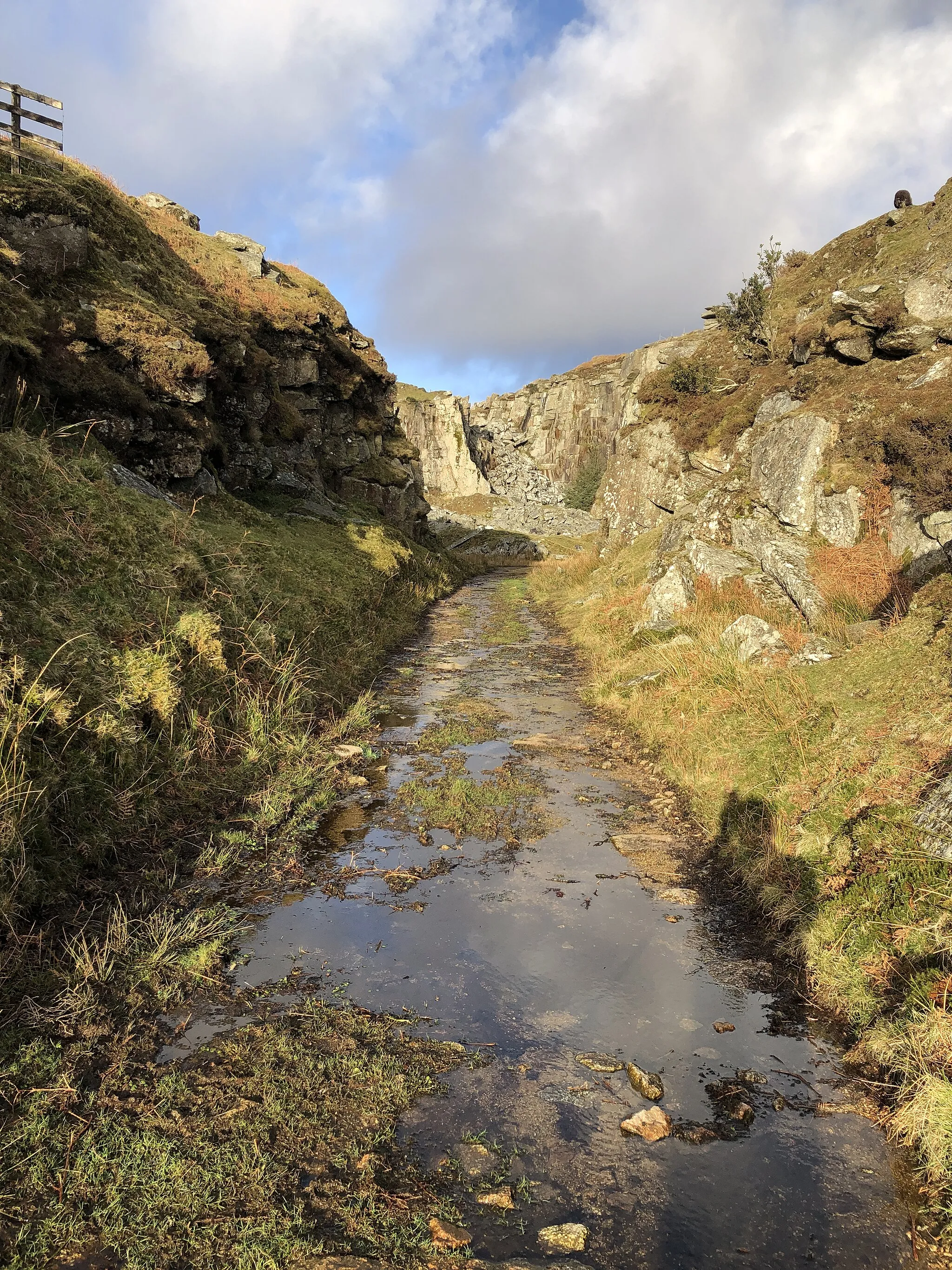 Photo showing: Entrance to Cheesewring Quarry above Sharptor