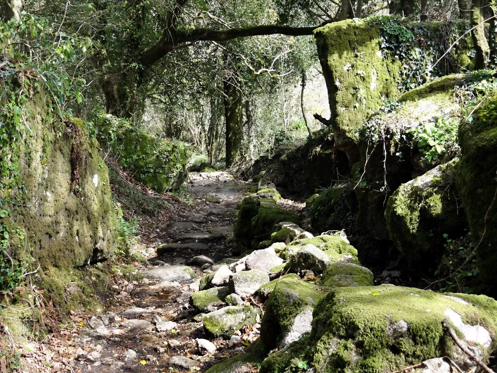Photo showing: A Steep and Rocky Bridlepath