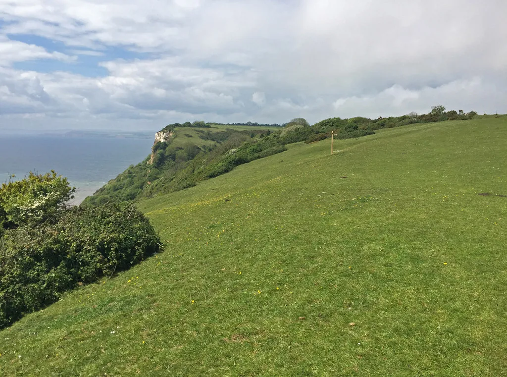 Photo showing: South West Coast Path above Littlecombe Shoot