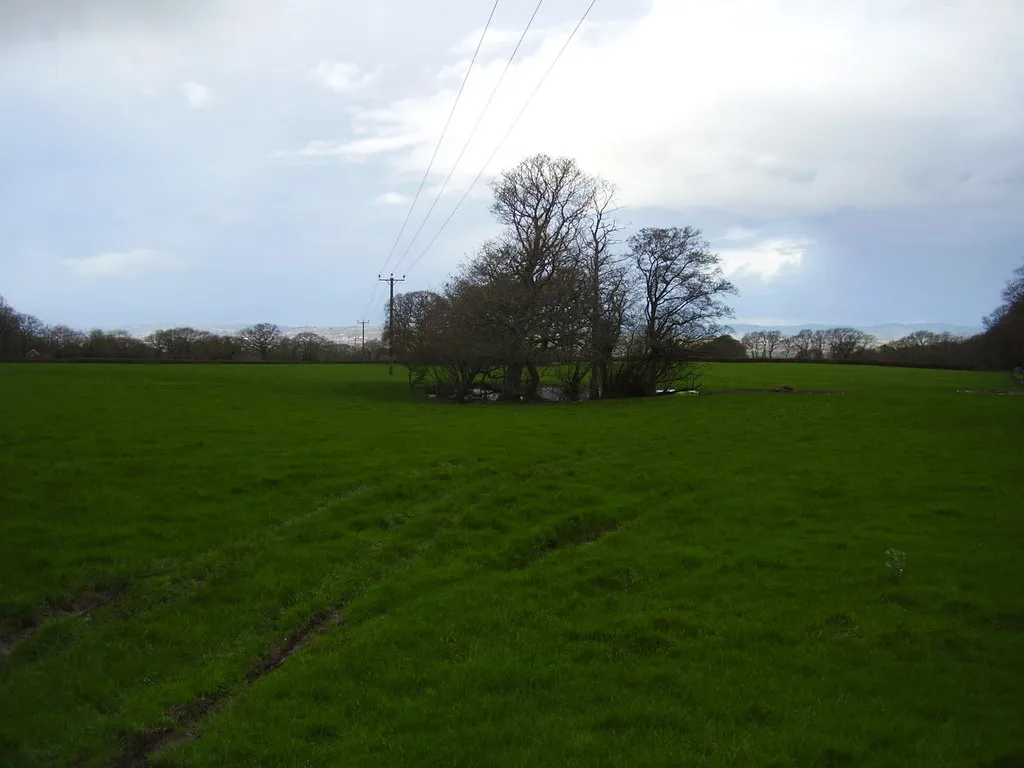 Photo showing: A pond in a field