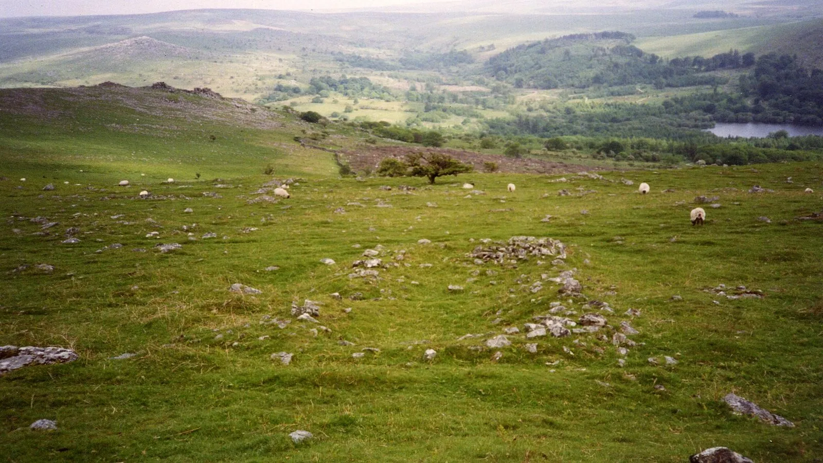 Photo showing: Medieval Longhouse on Peek Hill