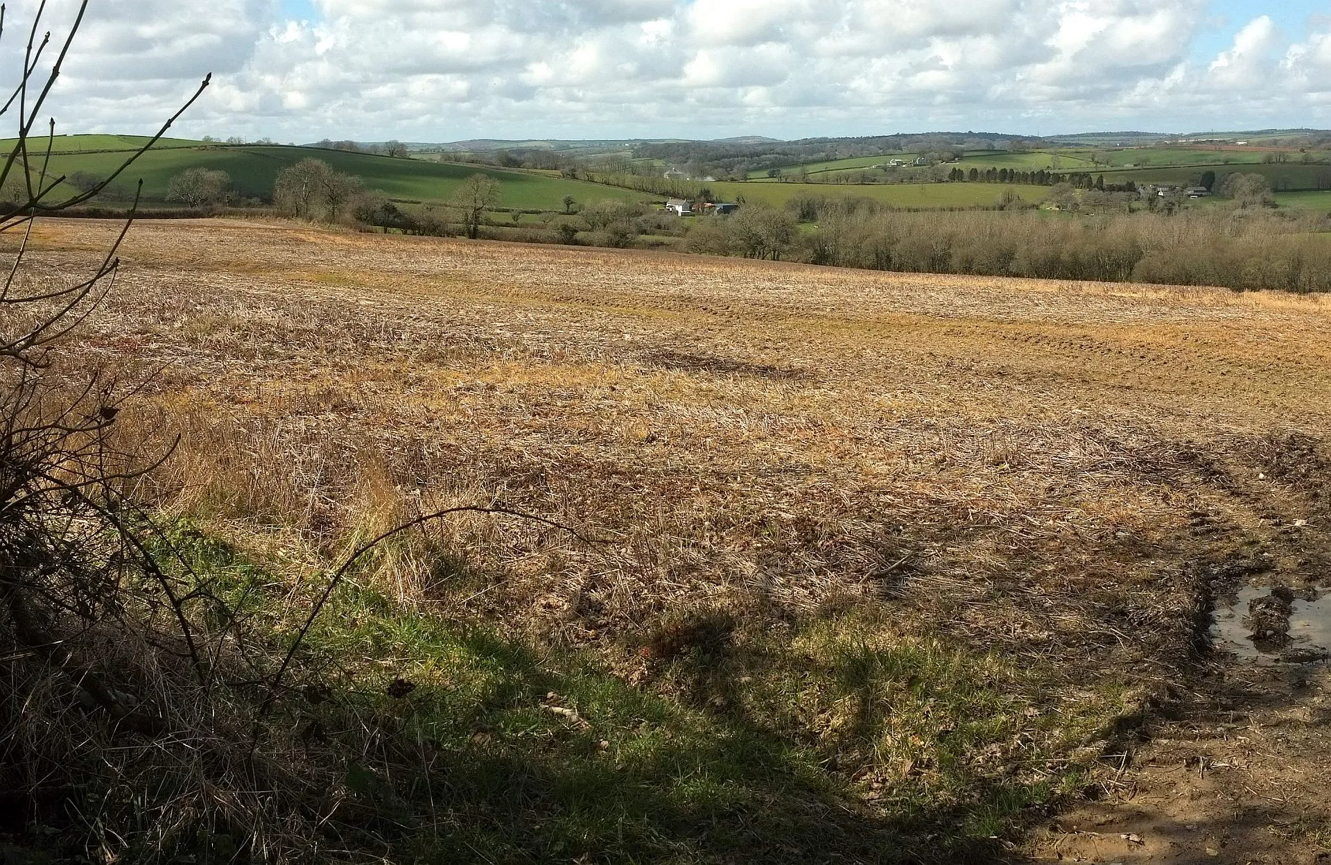 Photo showing: Countryside from Bocaddon