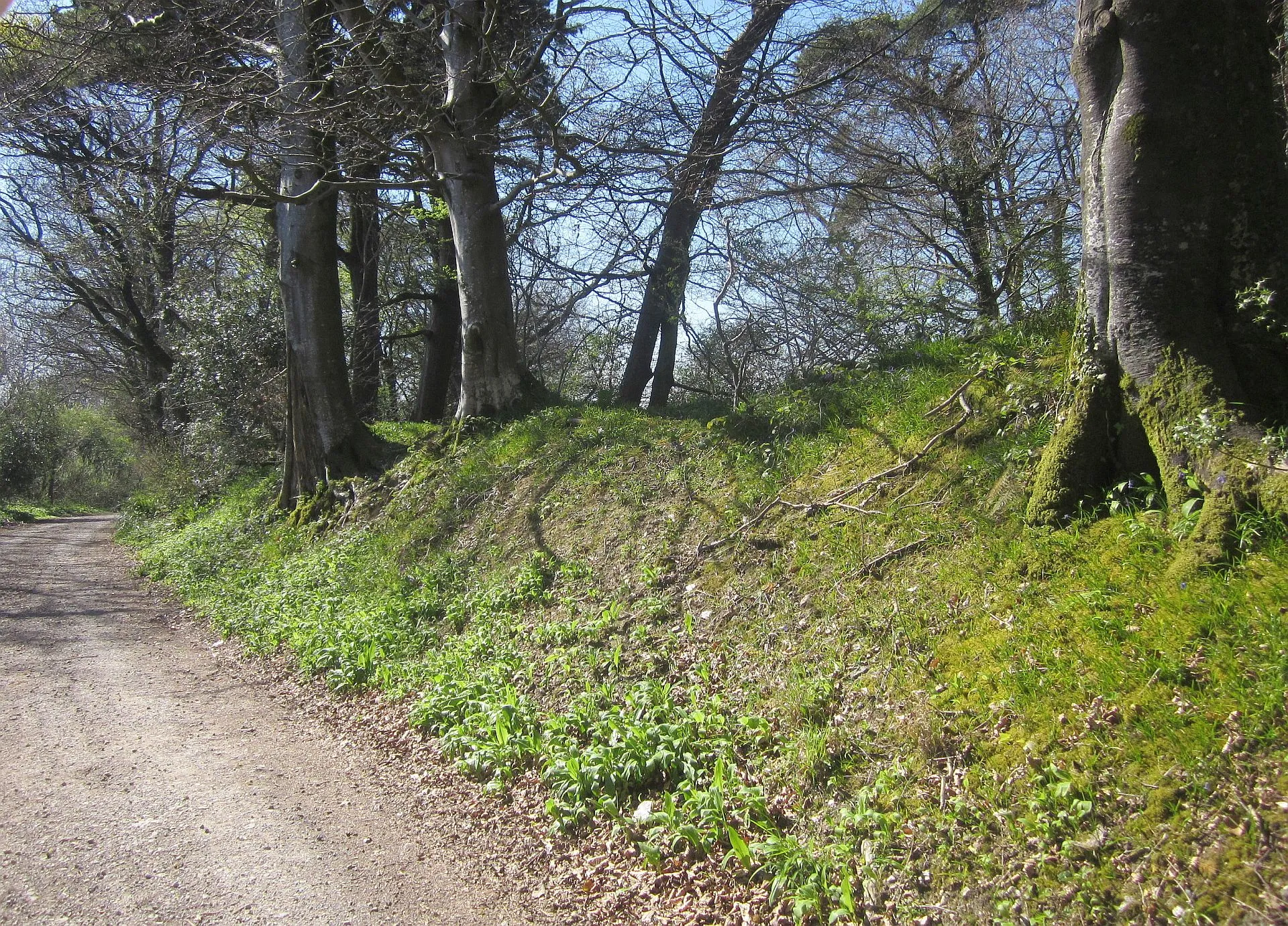 Photo showing: Common Water Lane