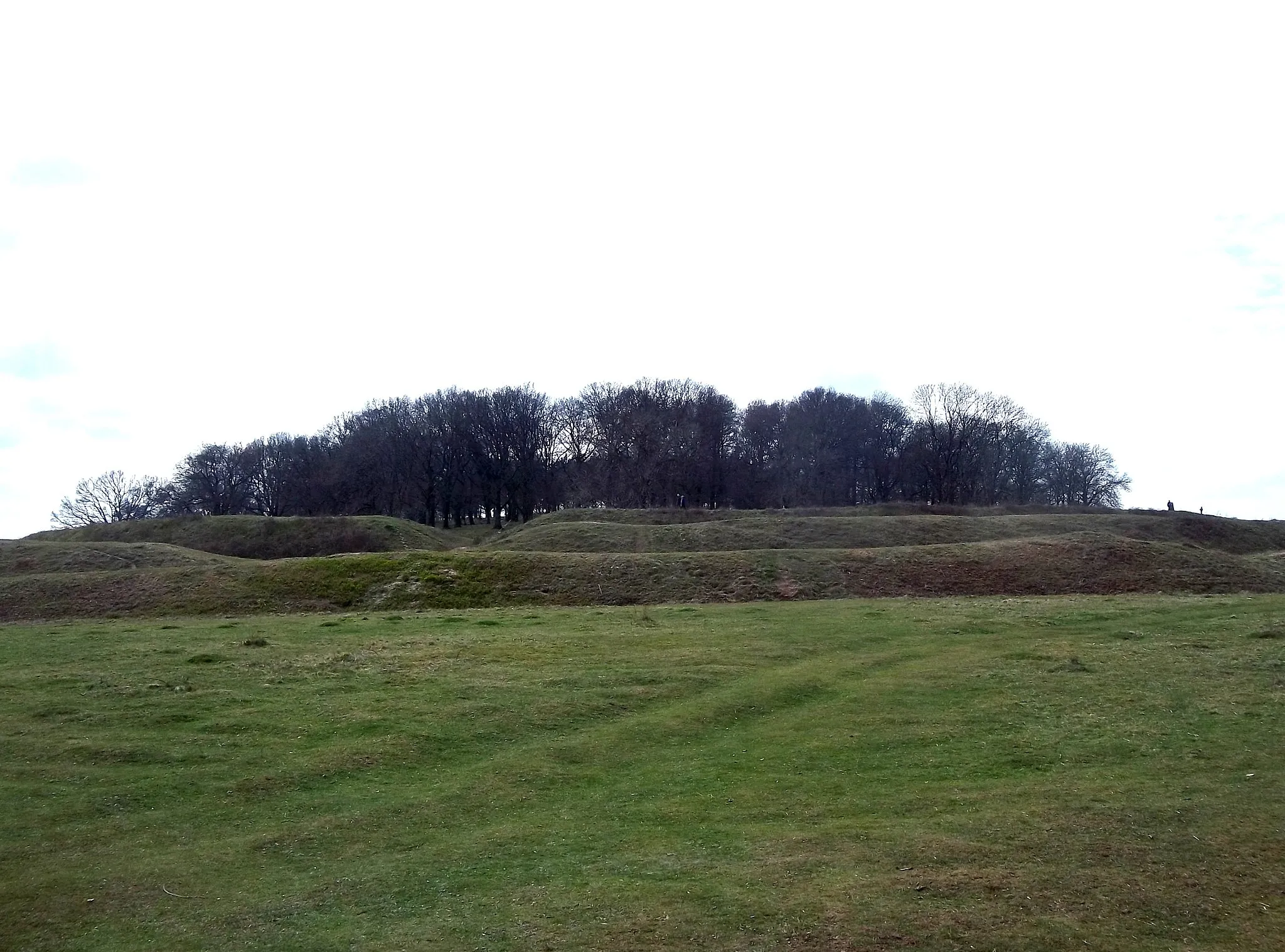 Photo showing: Atlas of Hillforts 3580 Badbury Rings - view from the northeast - April 2013