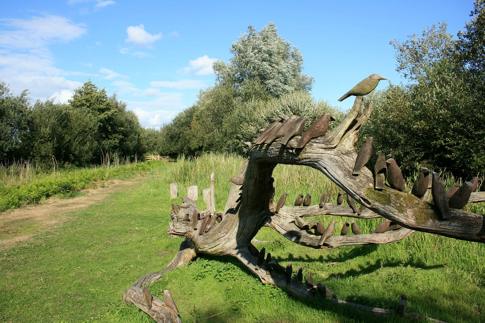 Photo showing: Birds on a Branch