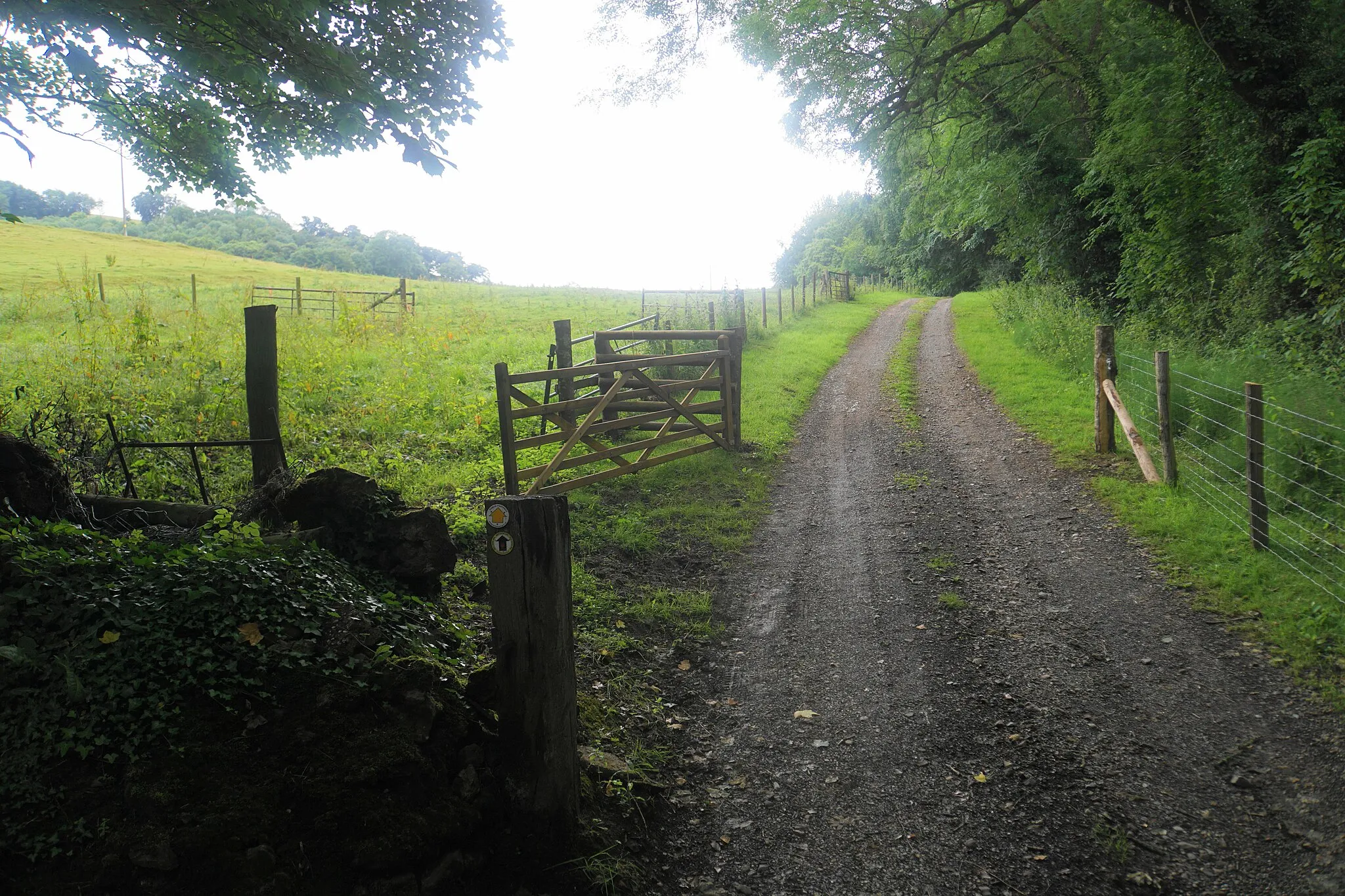 Photo showing: Farm track at Cothelstone