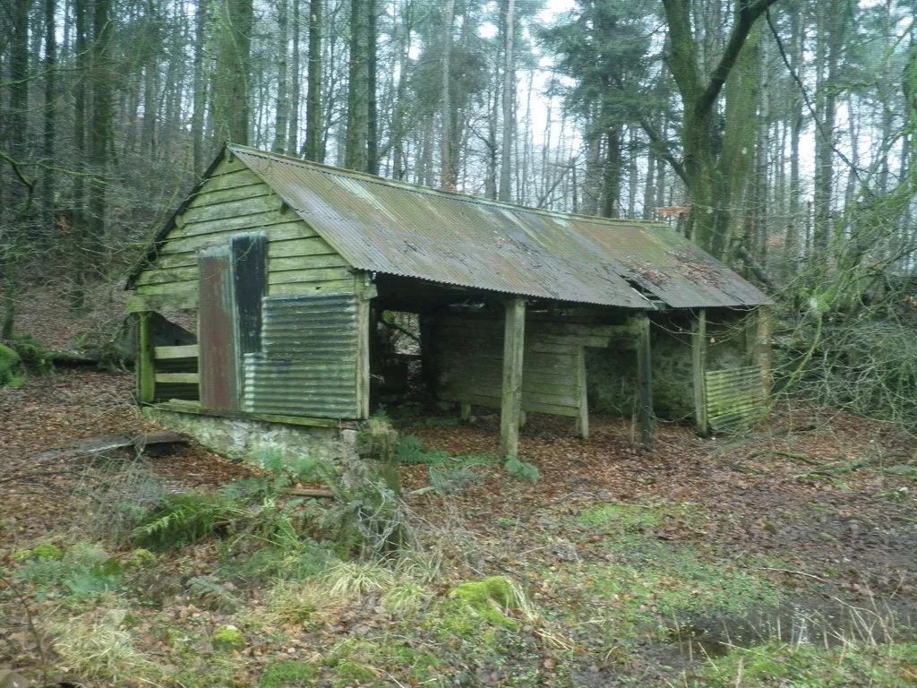 Photo showing: Abandoned shed, Staple Hill Plantation