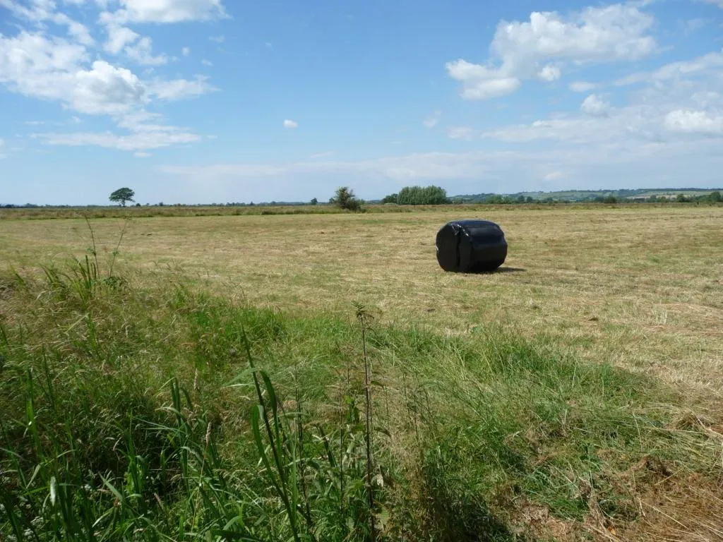 Photo showing: Baled hay, King's Sedge Moor