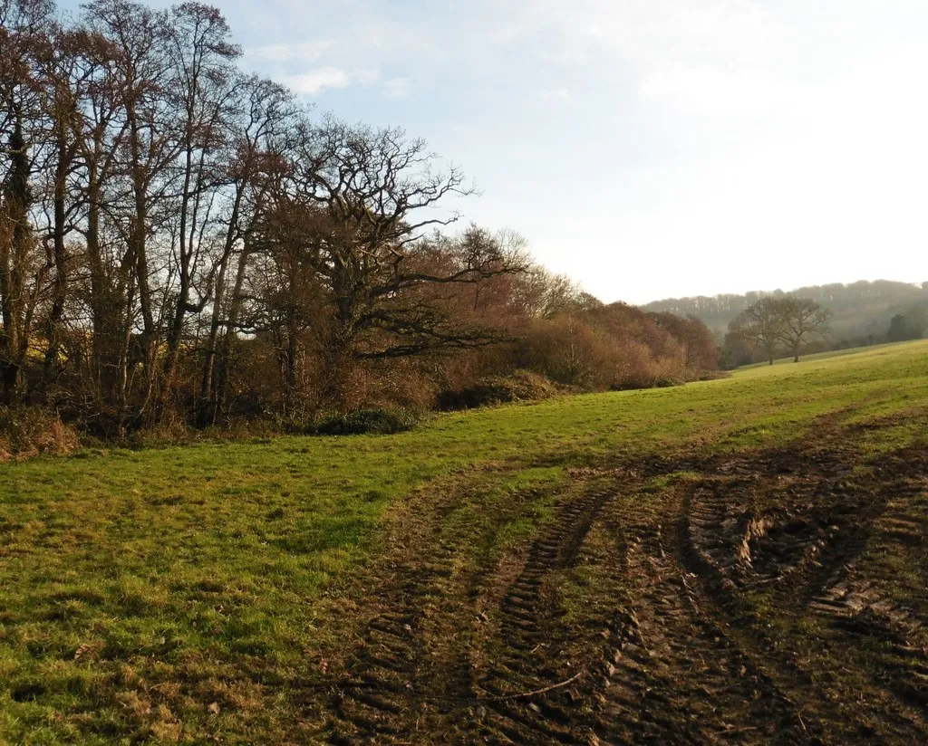 Photo showing: Fields near Hill Farm