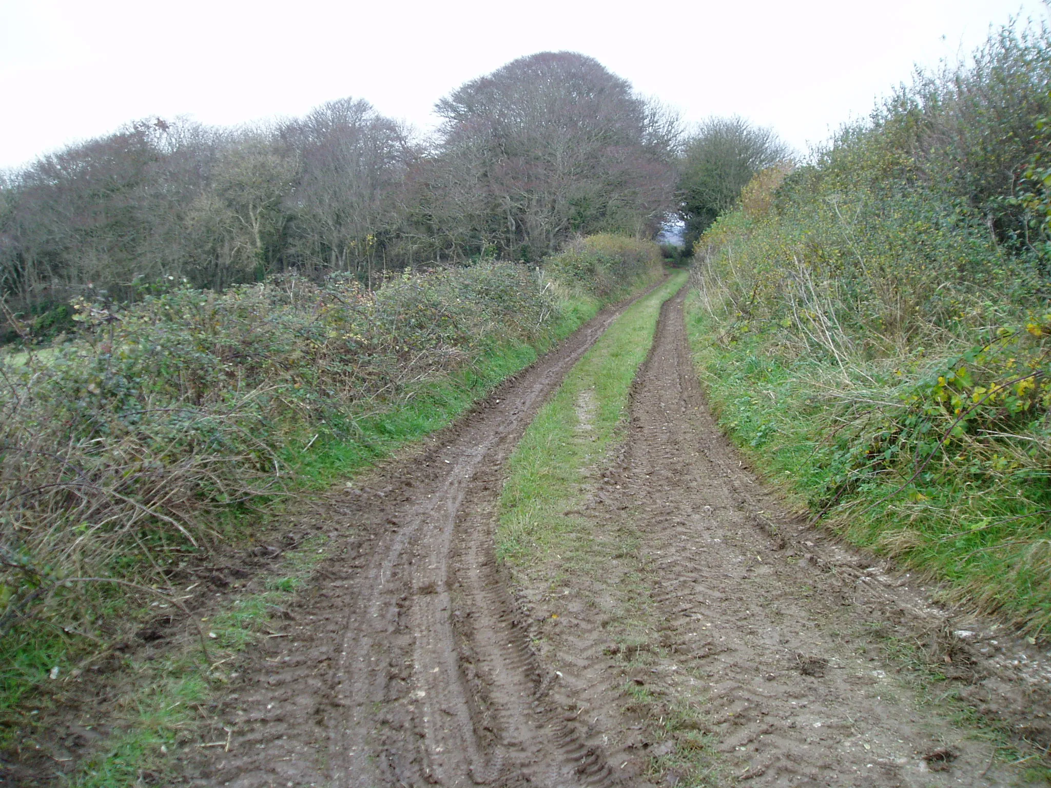 Photo showing: Approaching Half Moon Coppice
