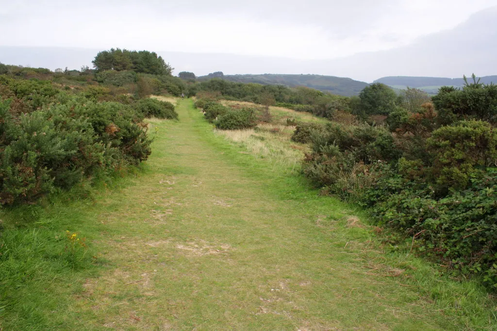 Photo showing: A path through gorse at Stonebarrow Hill