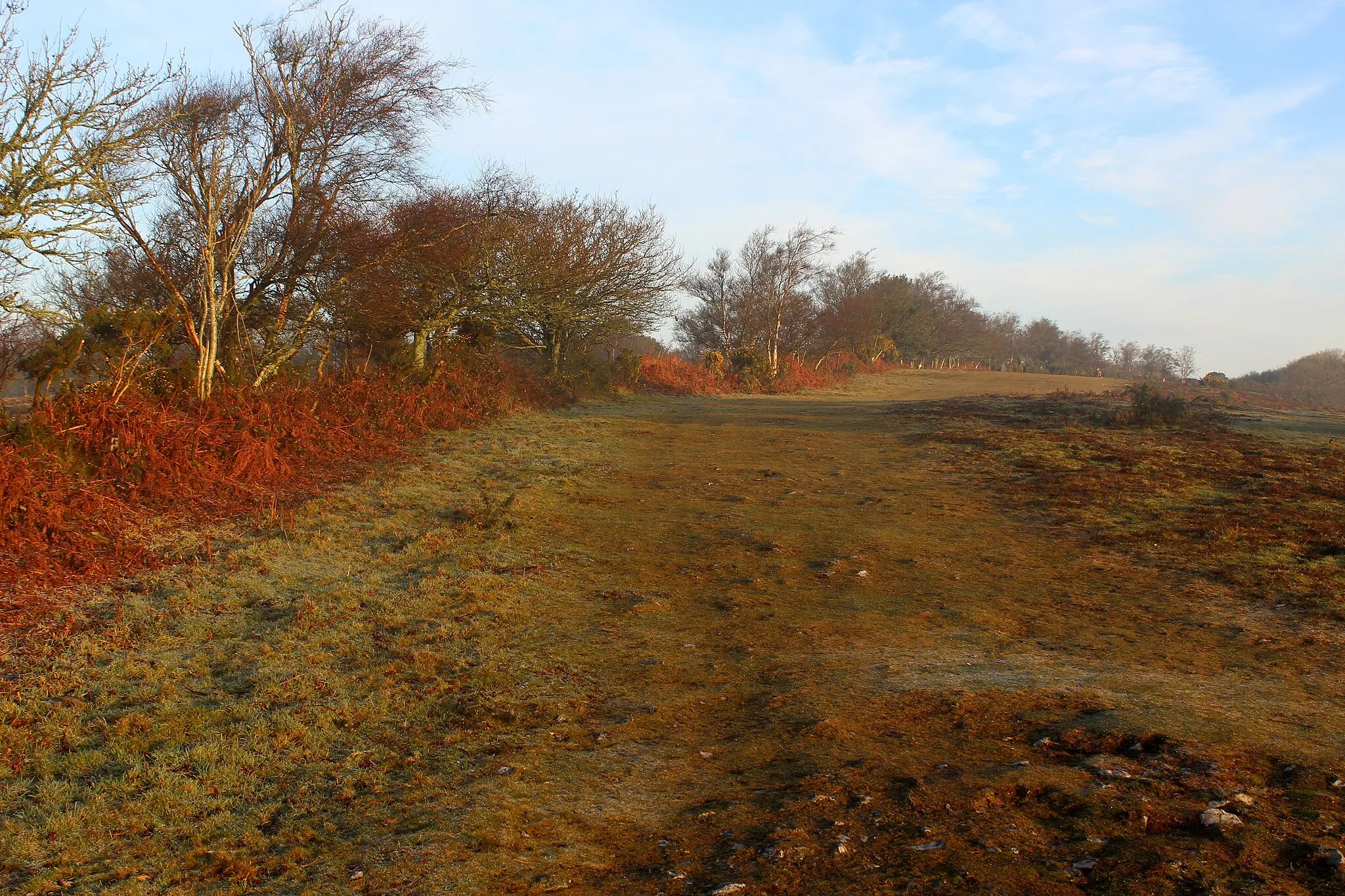 Photo showing: Ascending onto Lambert's Castle Hill