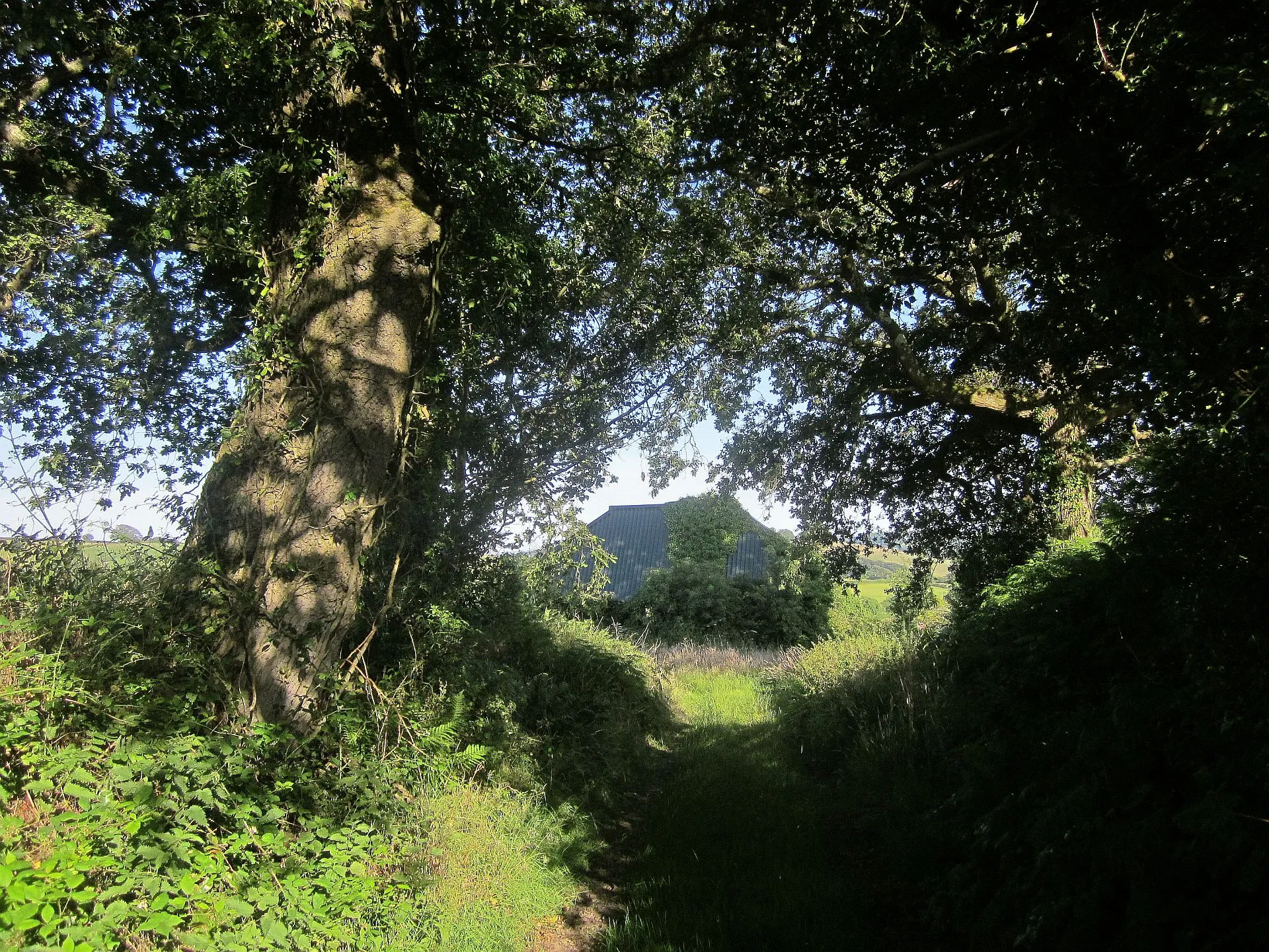 Photo showing: Approaching Guppy