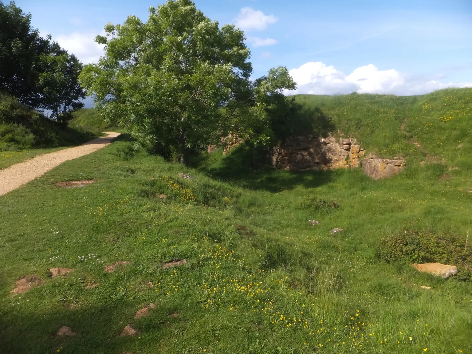 Photo showing: A former quarry on Ham Hill