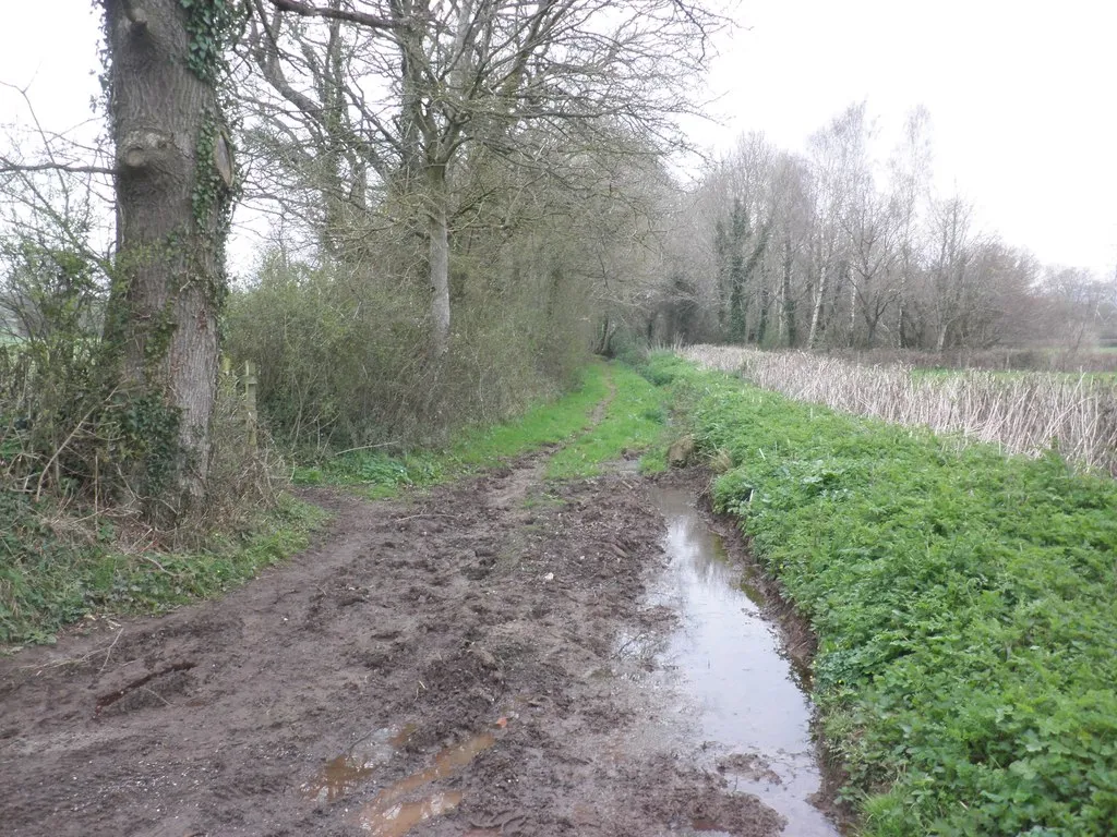 Photo showing: Byway to Stallenge Farm