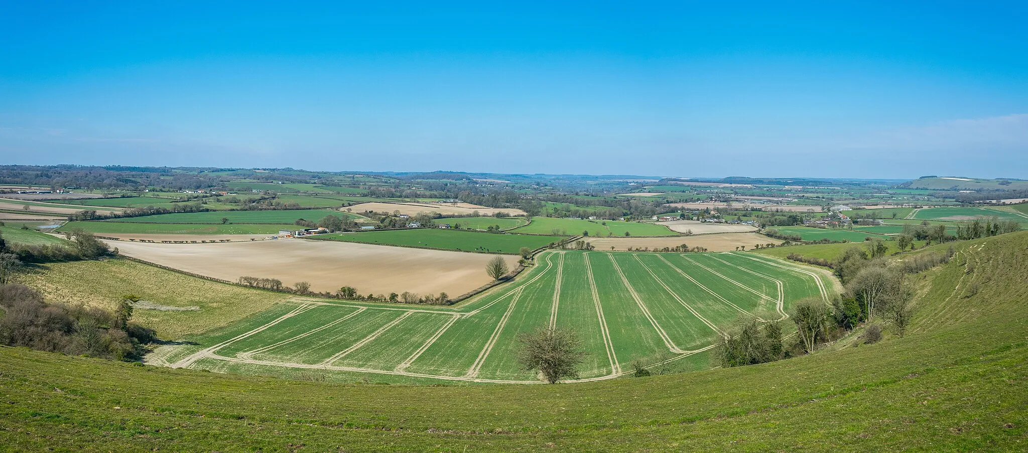 Photo showing: This glorious countryside on the Dorset/Wiltshire border near Shaftesbury seen on a warm spring day. 
Seen from the top of Charlton Down, some 250m above sea level gives far reaching views.