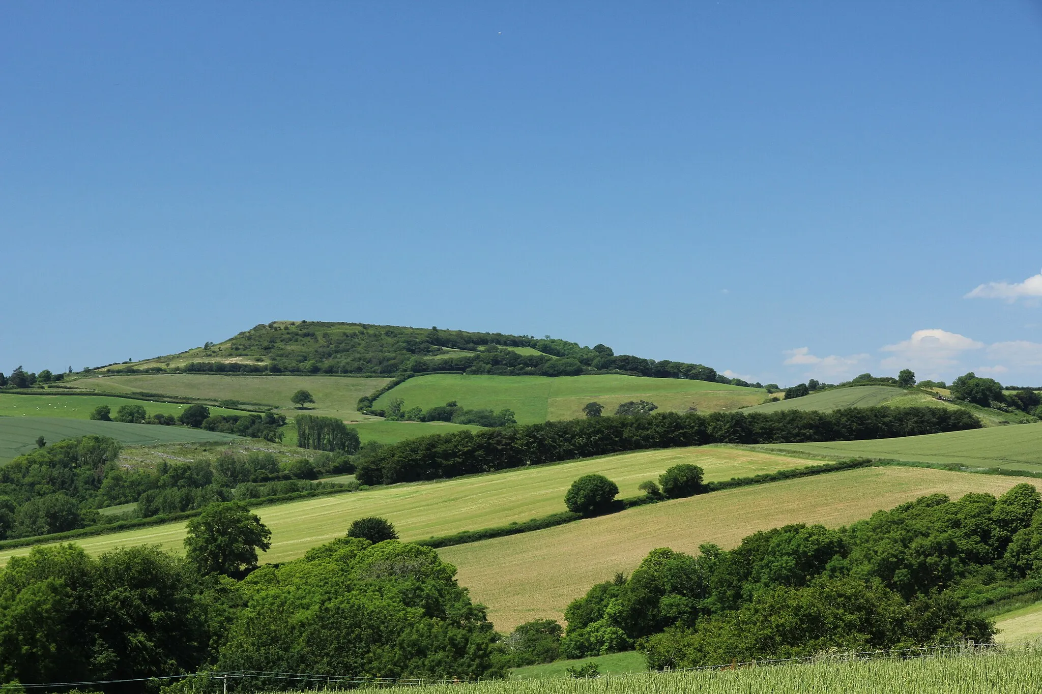 Photo showing: Pilsdon Pen from the southeast