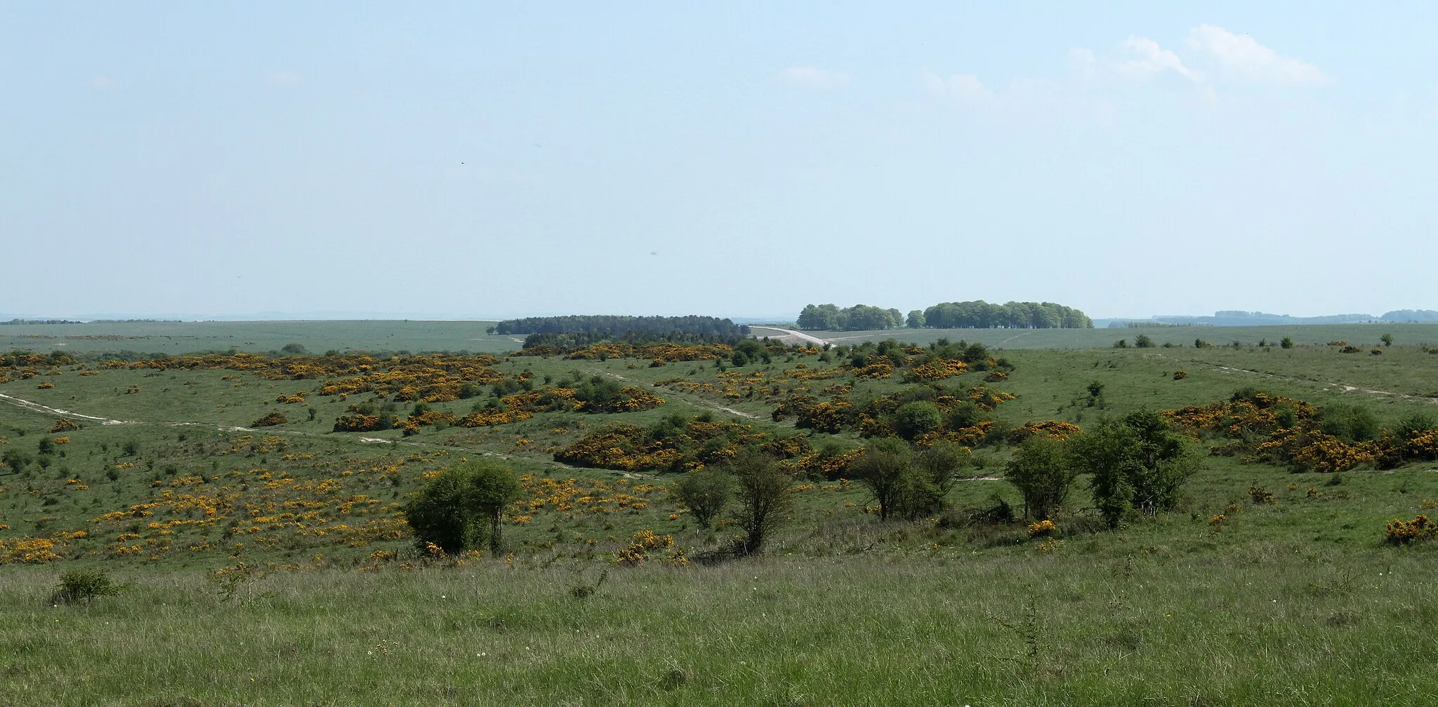 Photo showing: 2011 : Looking south from the road to Imber