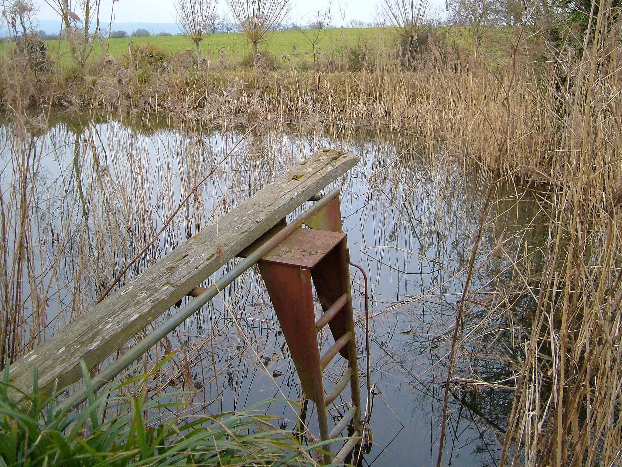 Photo showing: Contraption, pond near Netherclay
