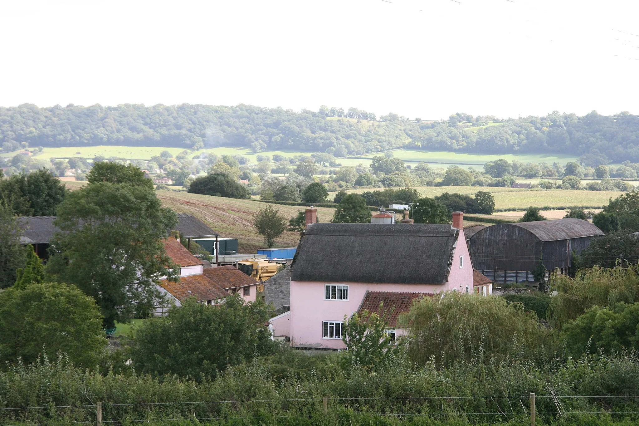 Photo showing: Ash near Taunton