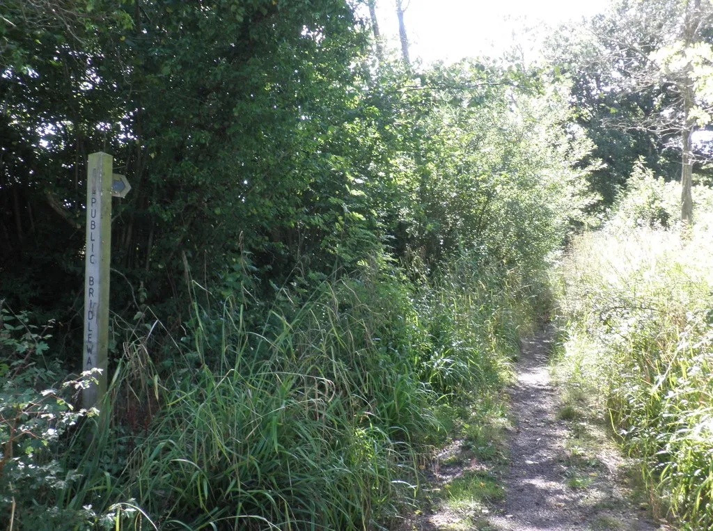 Photo showing: Bridleway to Stoke St Mary