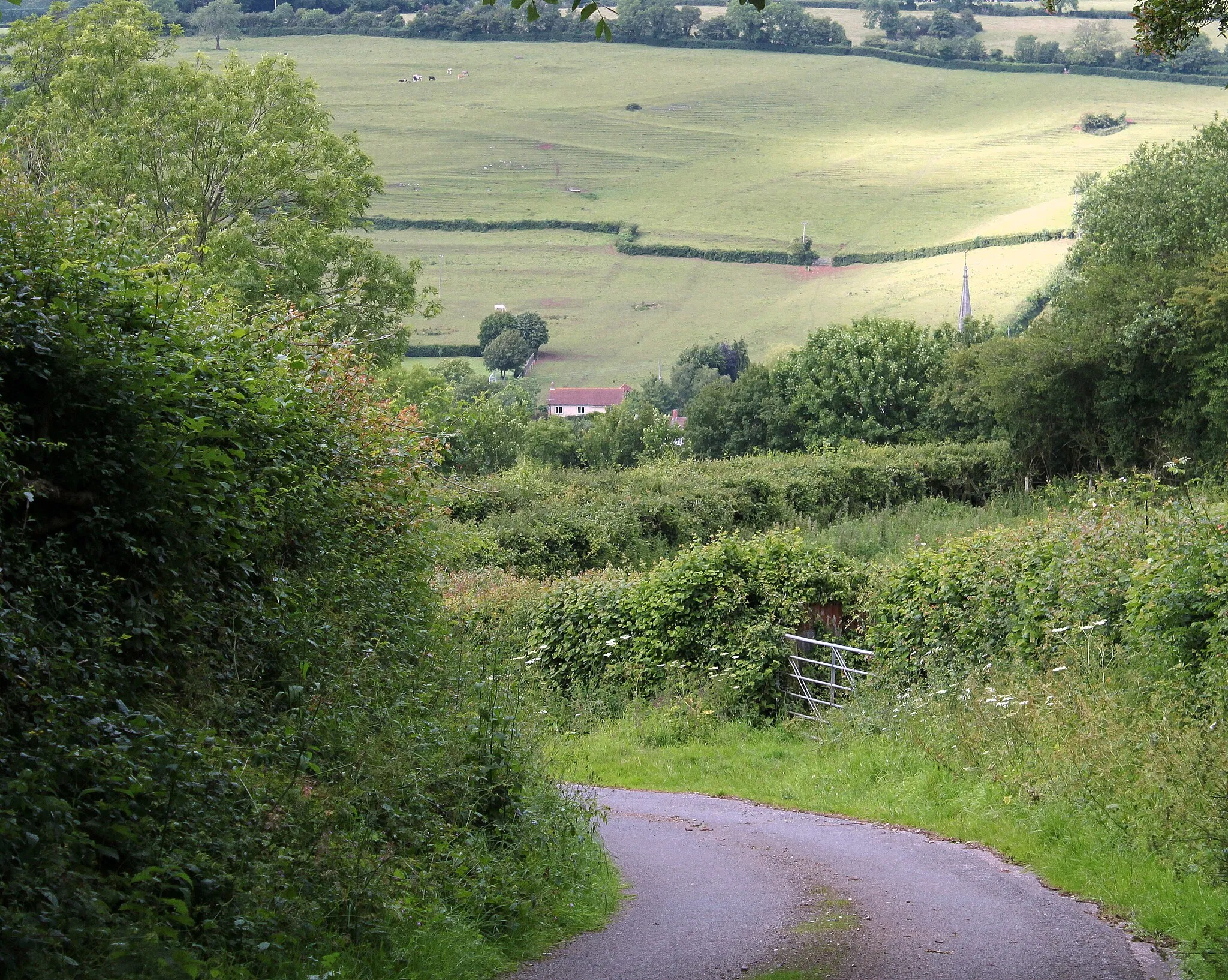 Photo showing: 2011 : Duncart Lane, heading to Croscombe