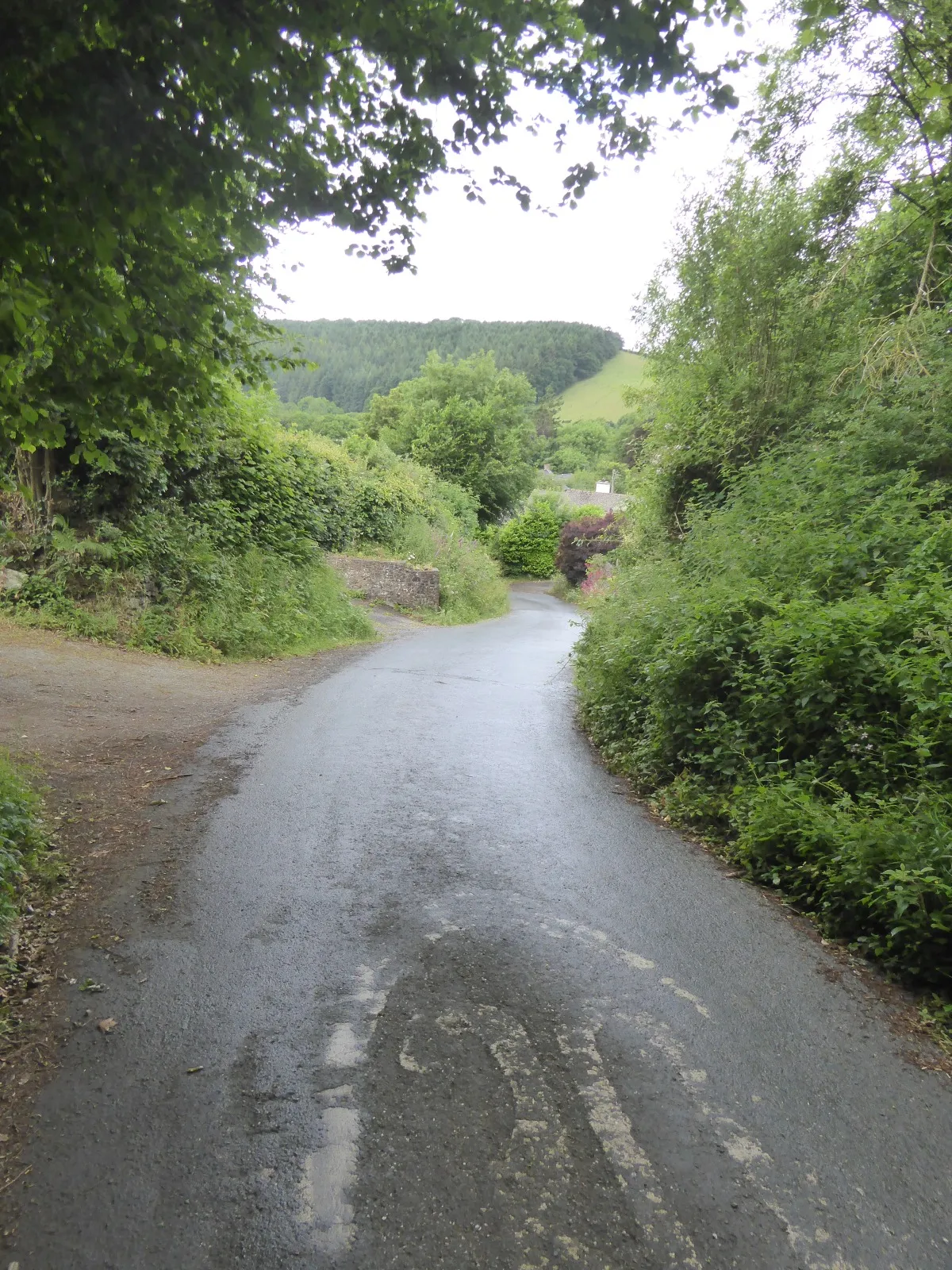 Photo showing: Road into Alswear from Mariansleigh