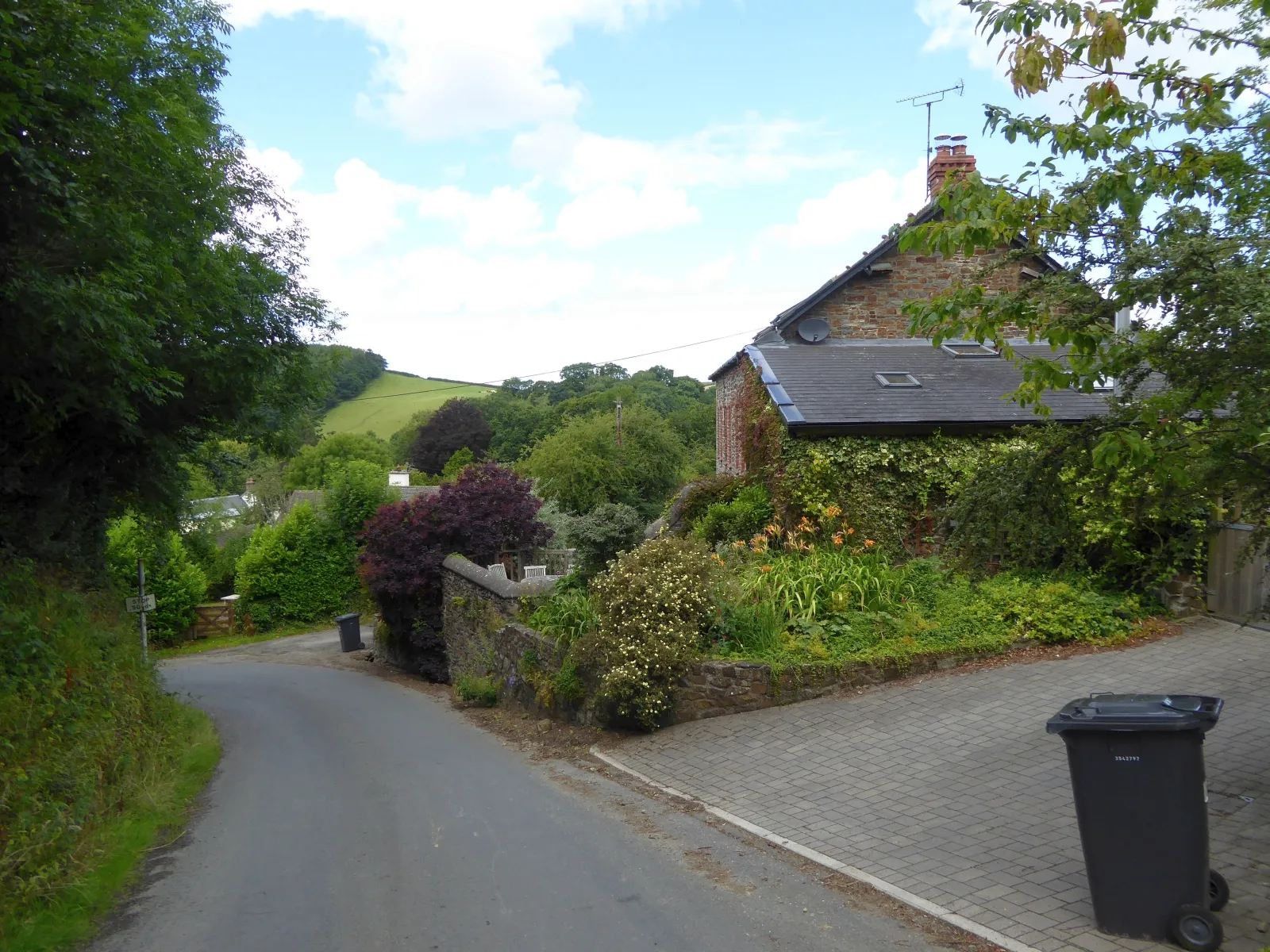 Photo showing: Road from Mariansleigh descending to Alswear