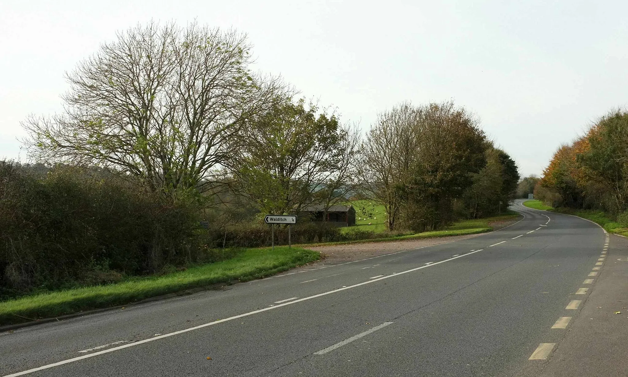 Photo showing: A35 at Firch Lane