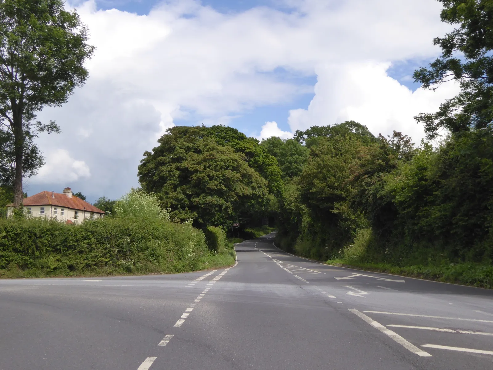 Photo showing: A3052 on the wooded Boshill Hill