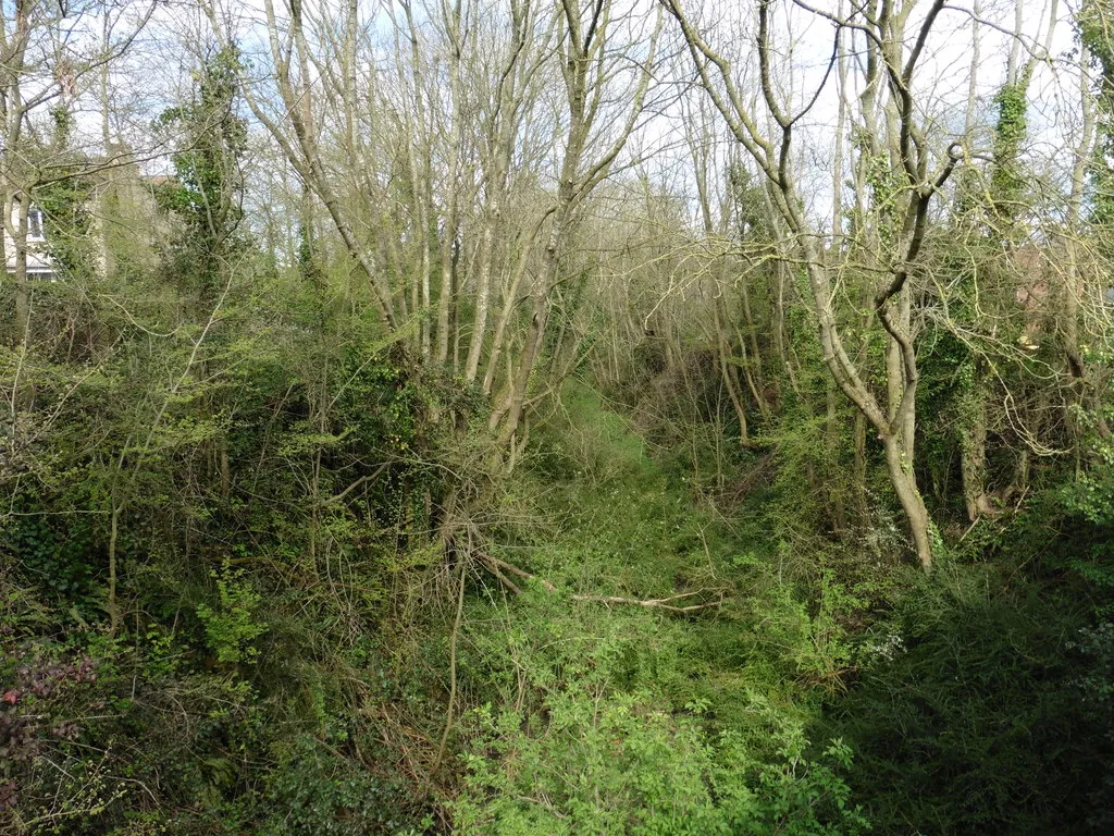 Photo showing: Trackbed of the former S & D Bridgwater branch