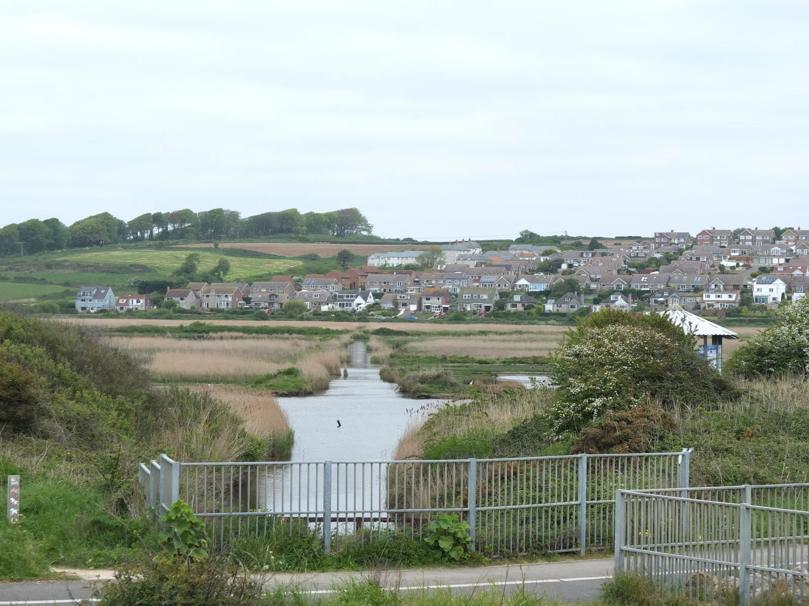 Photo showing: Drainage channel on Lodmoor Nature Reserve