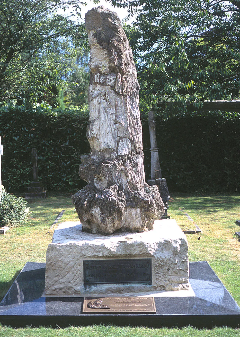 Photo showing: A.R. Wallace's grave restored by Wallace Memorial Fund. The horizontal plaque reads: Alfred Russel Wallace O.M., L.L.D., D.C.L., F.R.S., F.L.S.
Naturalist - Scientist - Explorer - Writer - Social campaigner - Humanitarian
•Co-discoverer of evolution by natural selection
•Founder of the science of zoology