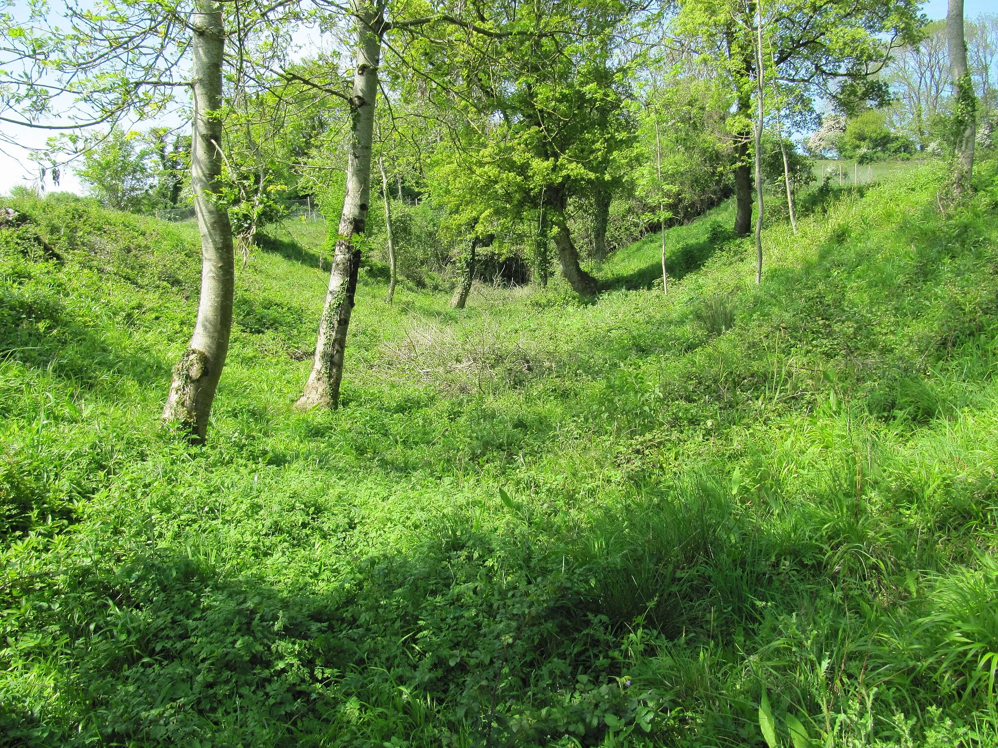 Photo showing: Bed of the abandoned Dorset and Somerset Canal