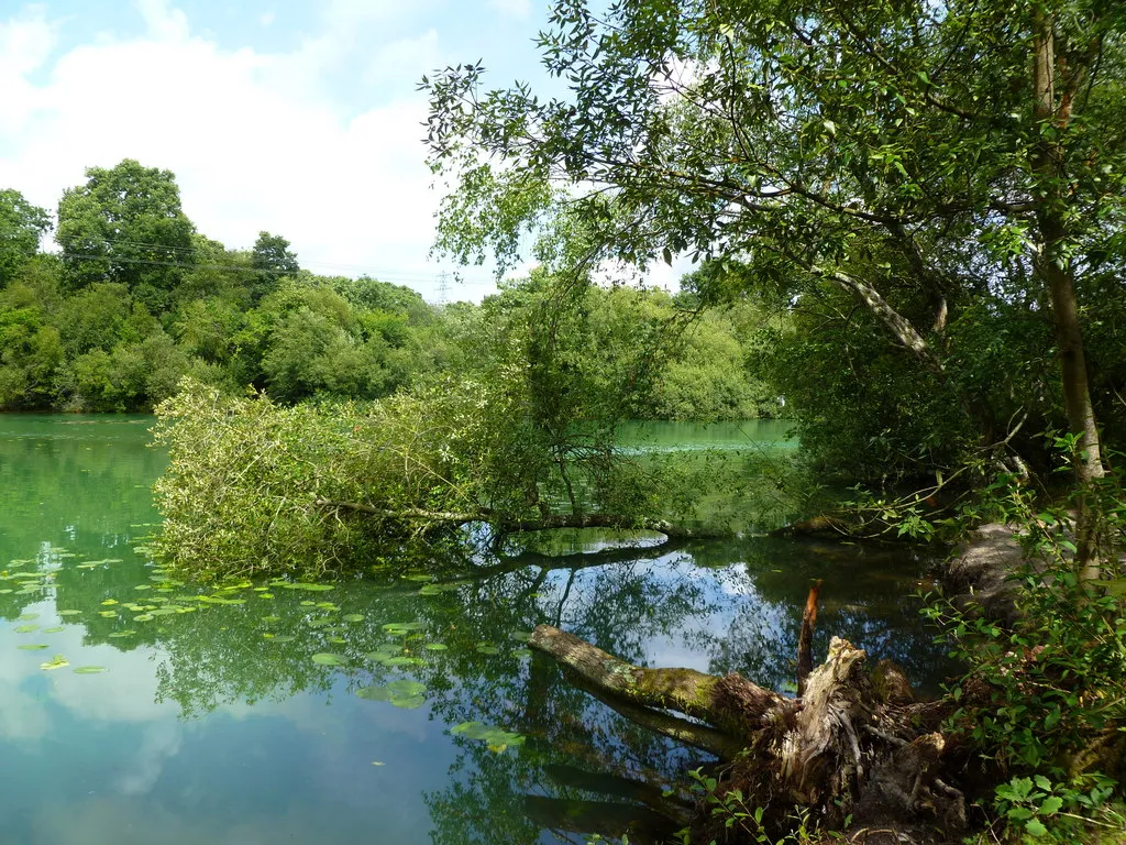 Photo showing: Creekmoor Ponds