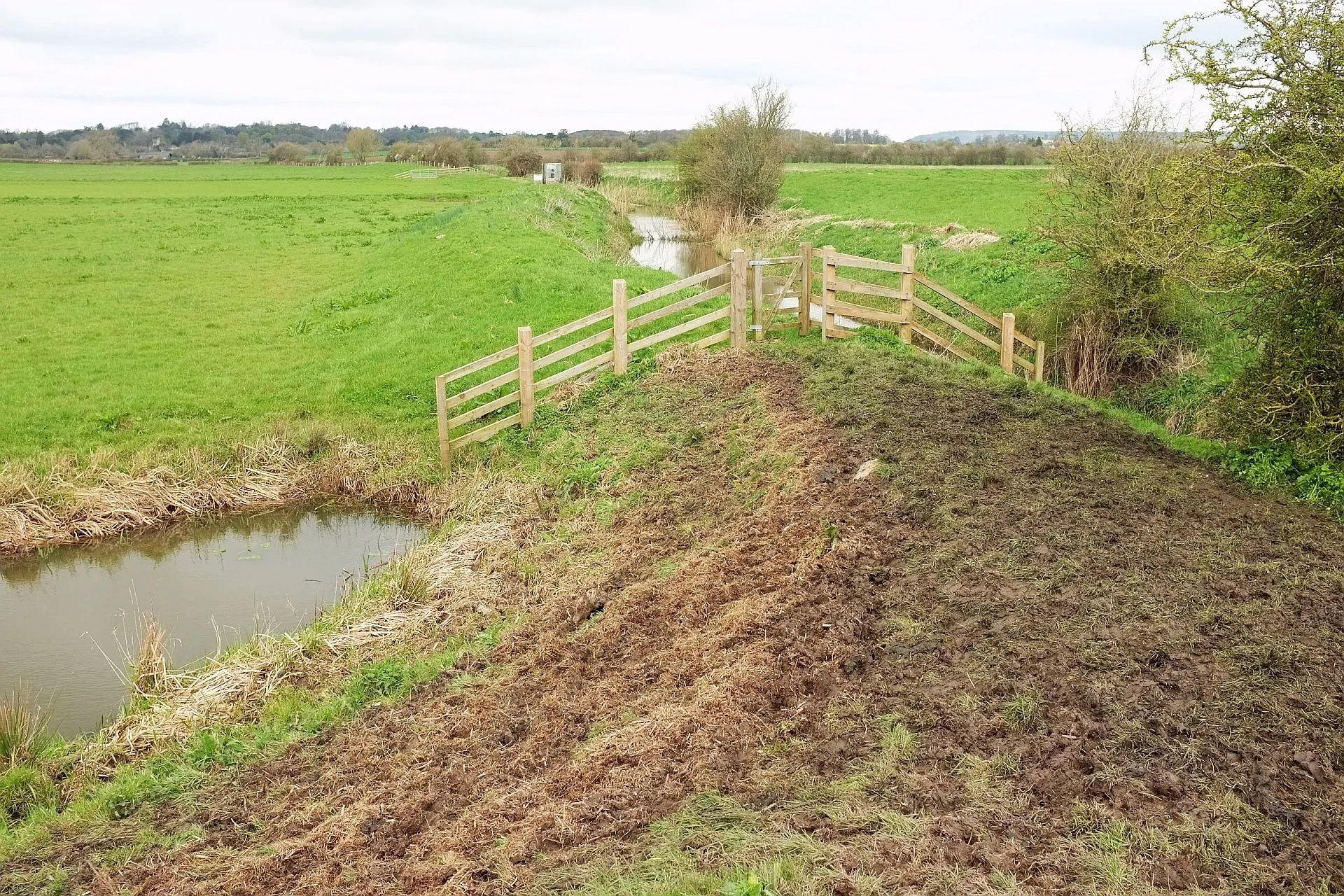 Photo showing: Bank between drainage channels near Midelney pumping station