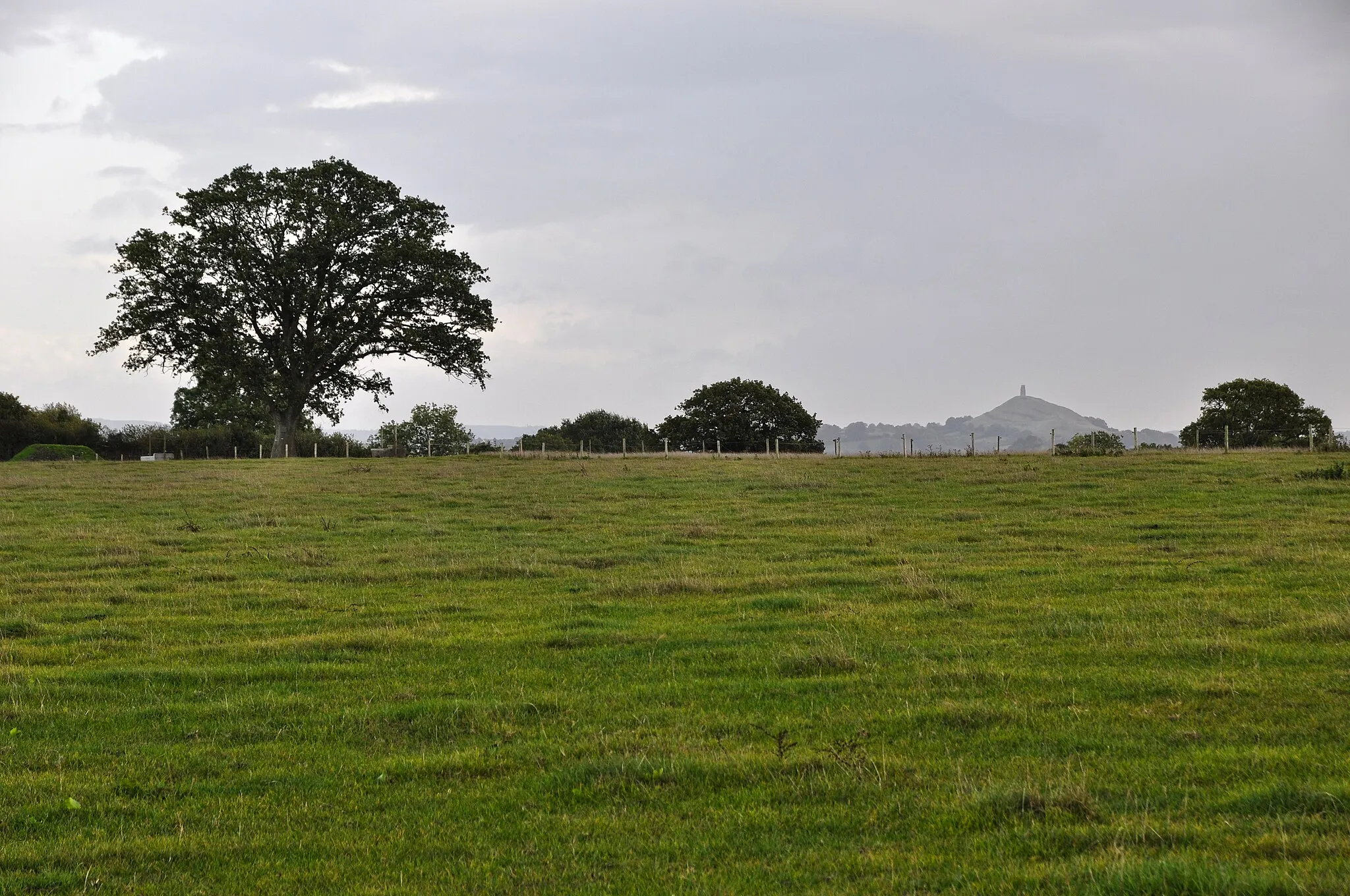 Photo showing: Ashcott : : Grassy Field