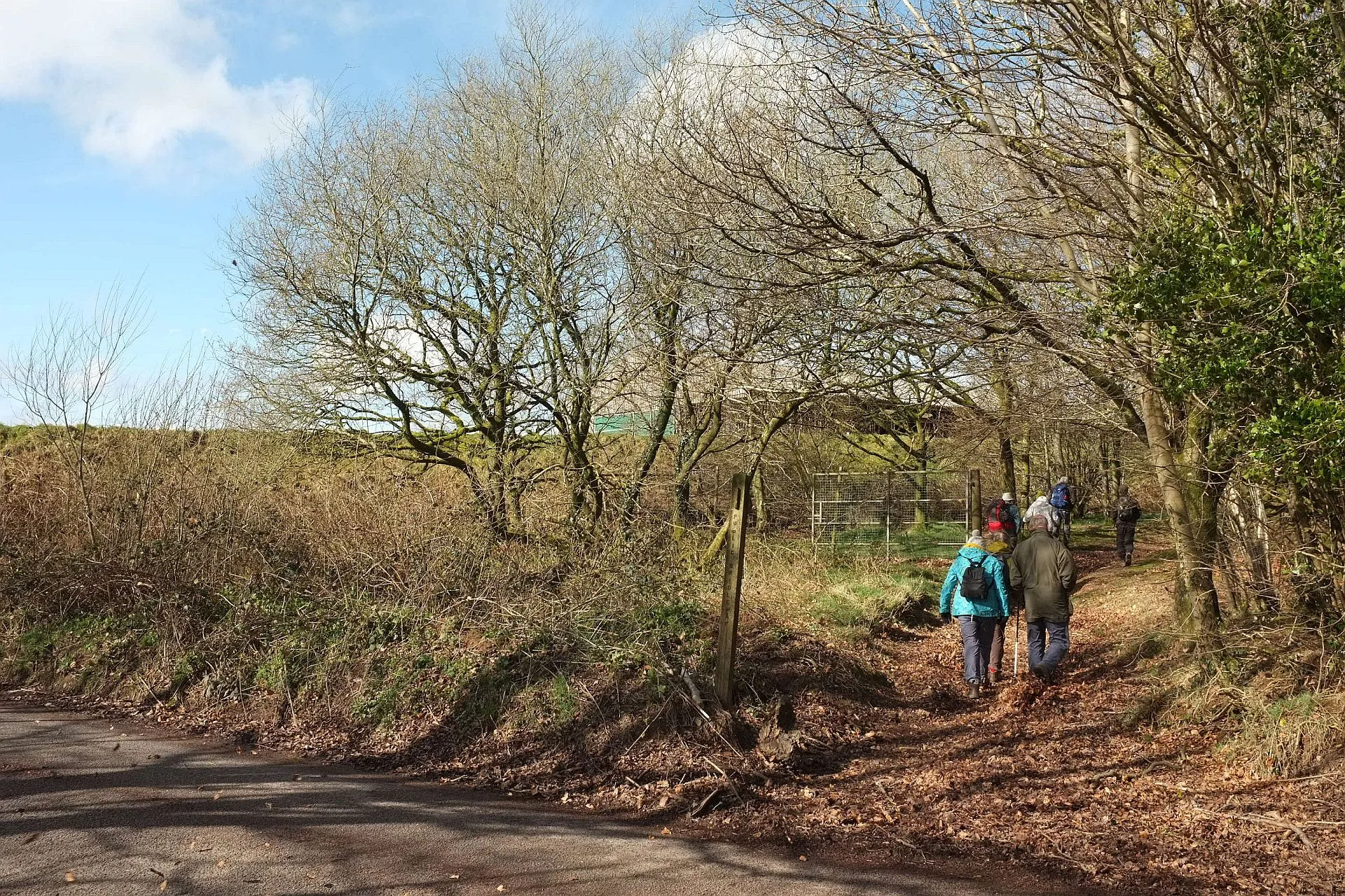 Photo showing: Bridleway to Post Lane