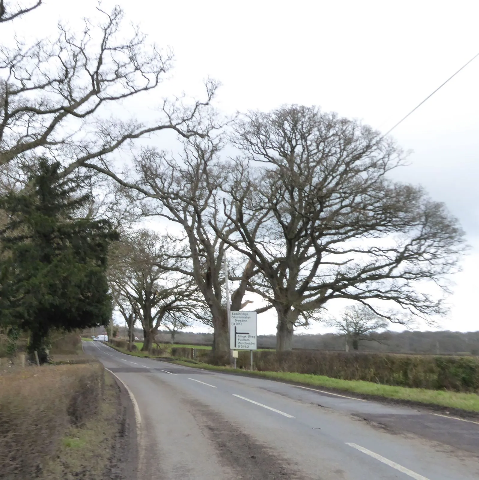 Photo showing: Bare trees by the A3030 near Blackrow Lane