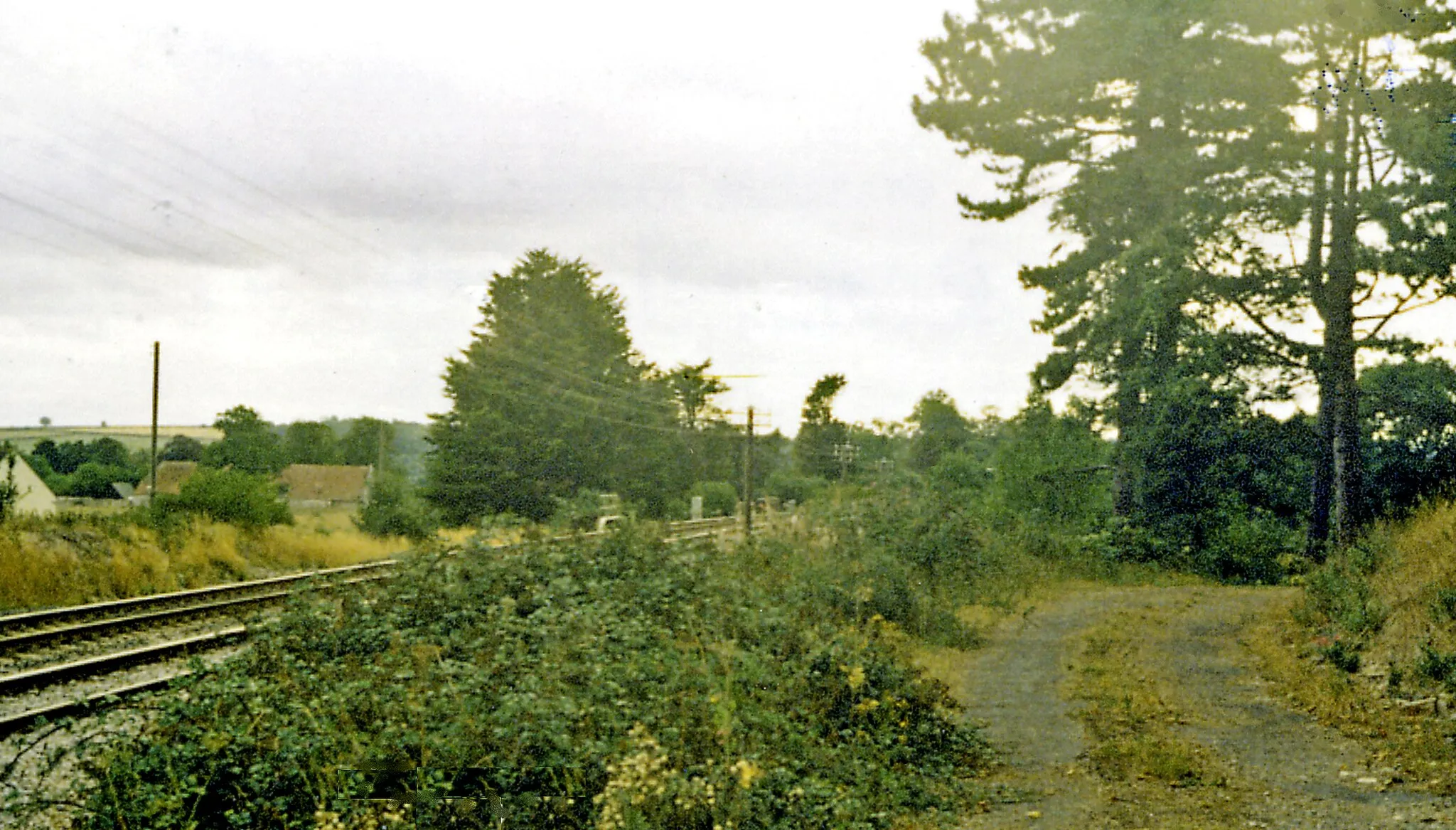 Photo showing: Site of Charlton Mackrell station.
View westward, towards Taunton: ex-GWR London - Penzance main line, i.e. the later direct line avoiding Bristol. Until 10/9/62 a local service was run between Castle Cary and Taunton calling here, but the station was then closed on this date and 22 years later there was no sign of it.