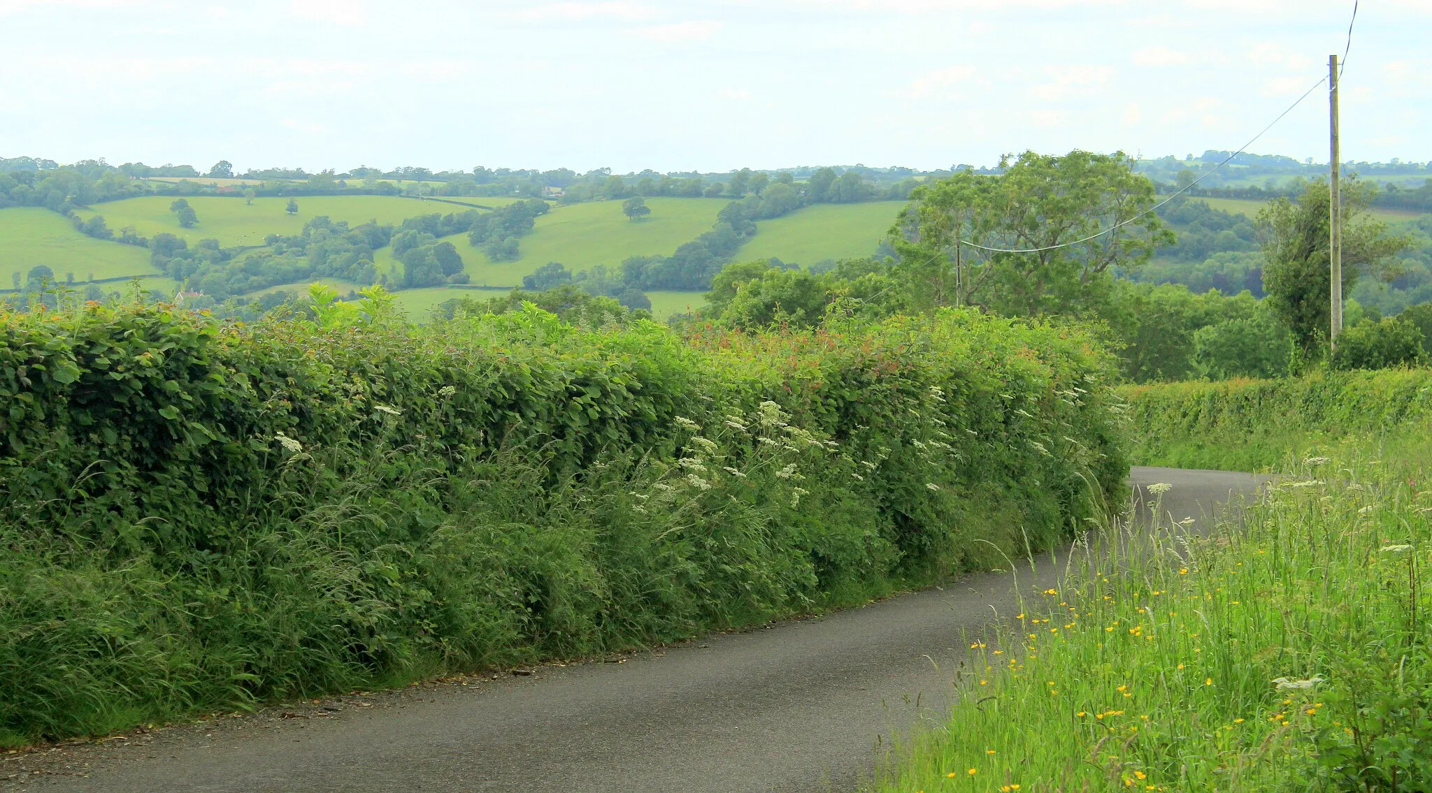 Photo showing: 2012 : Asher's Batch and Mendip view beyond