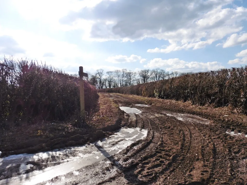 Photo showing: An icy Bill's Lane