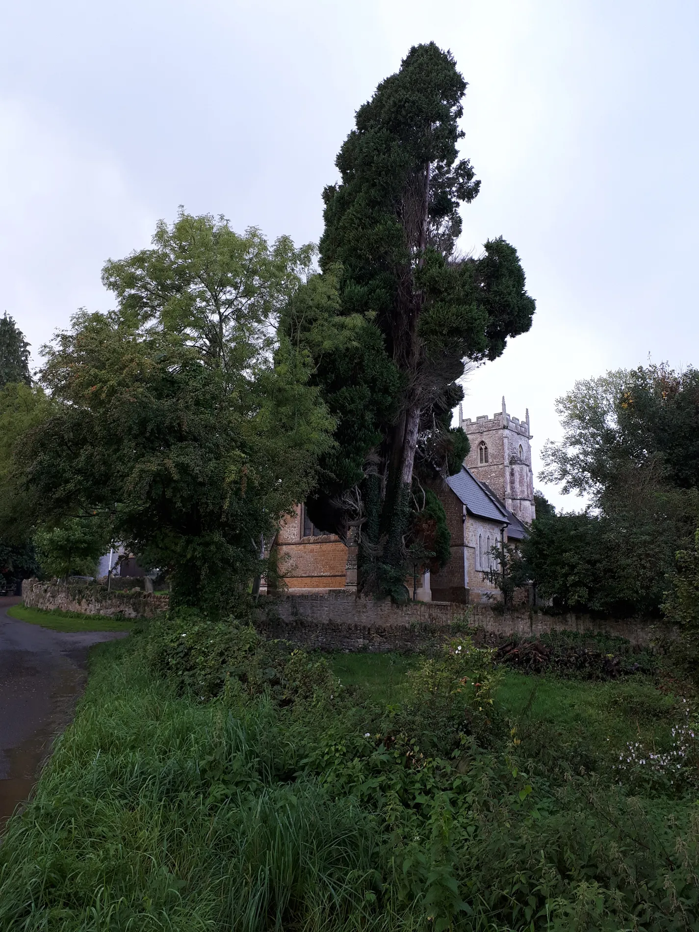 Photo showing: St. Leonard's Church, Pitcombe